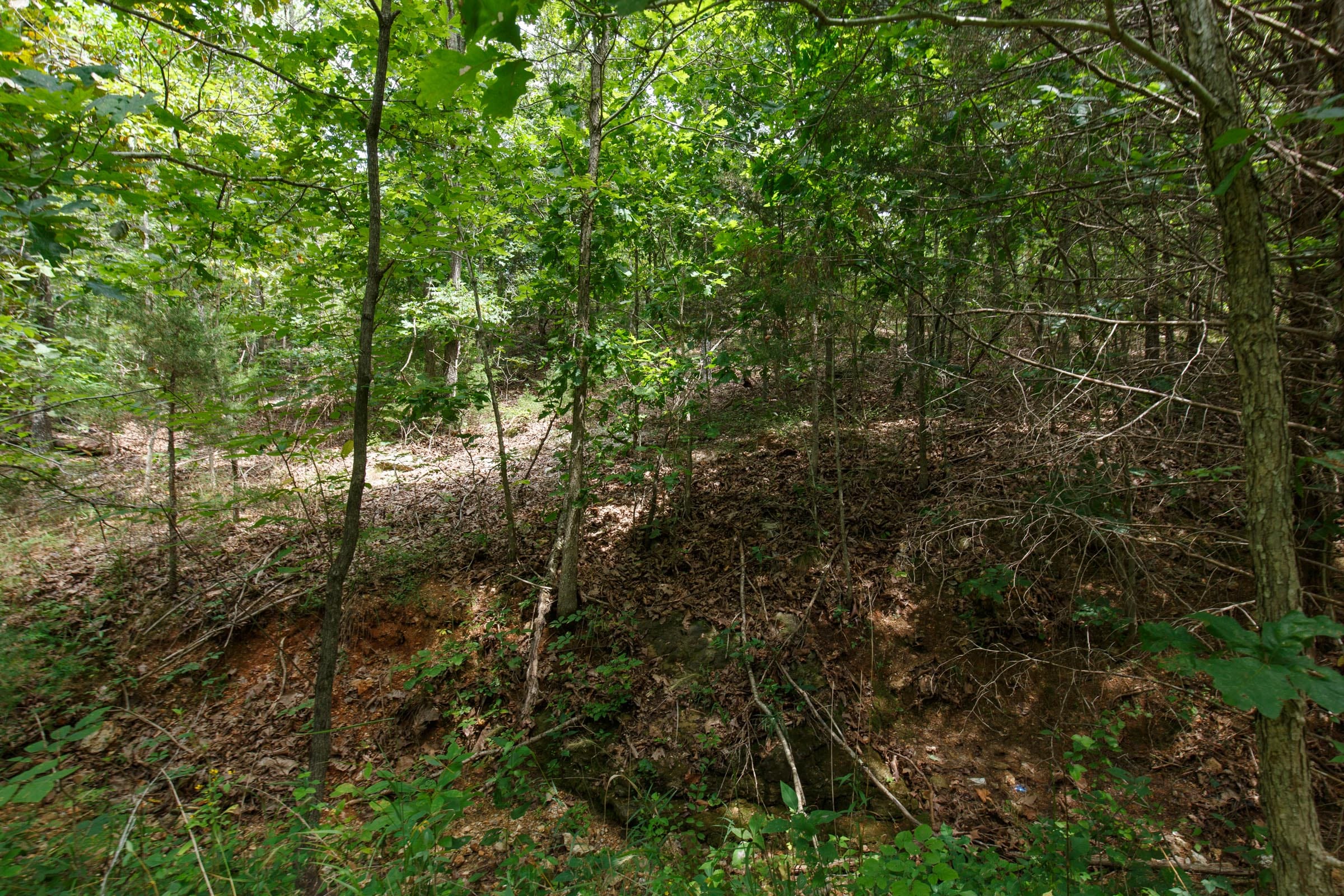 Spring Lake Plat 5 Tract 325 photo 4