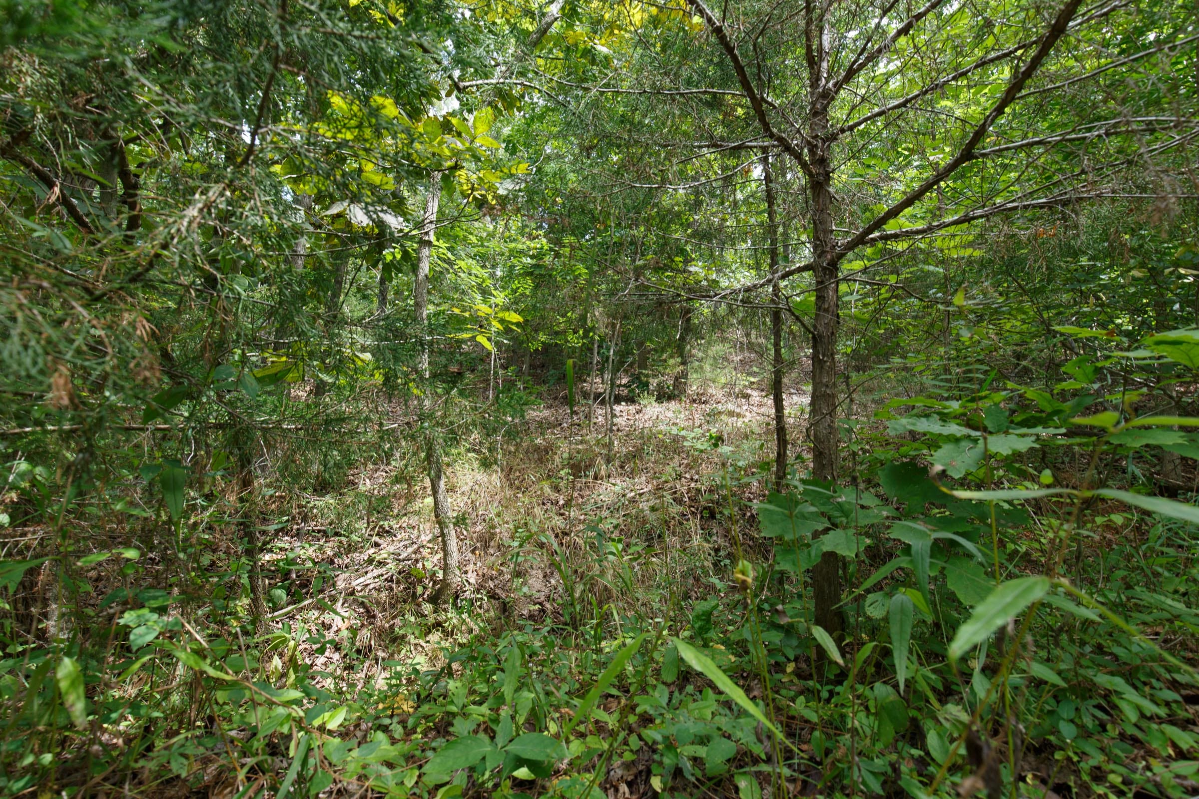 Spring Lake Plat 5 Tract 325 photo 5