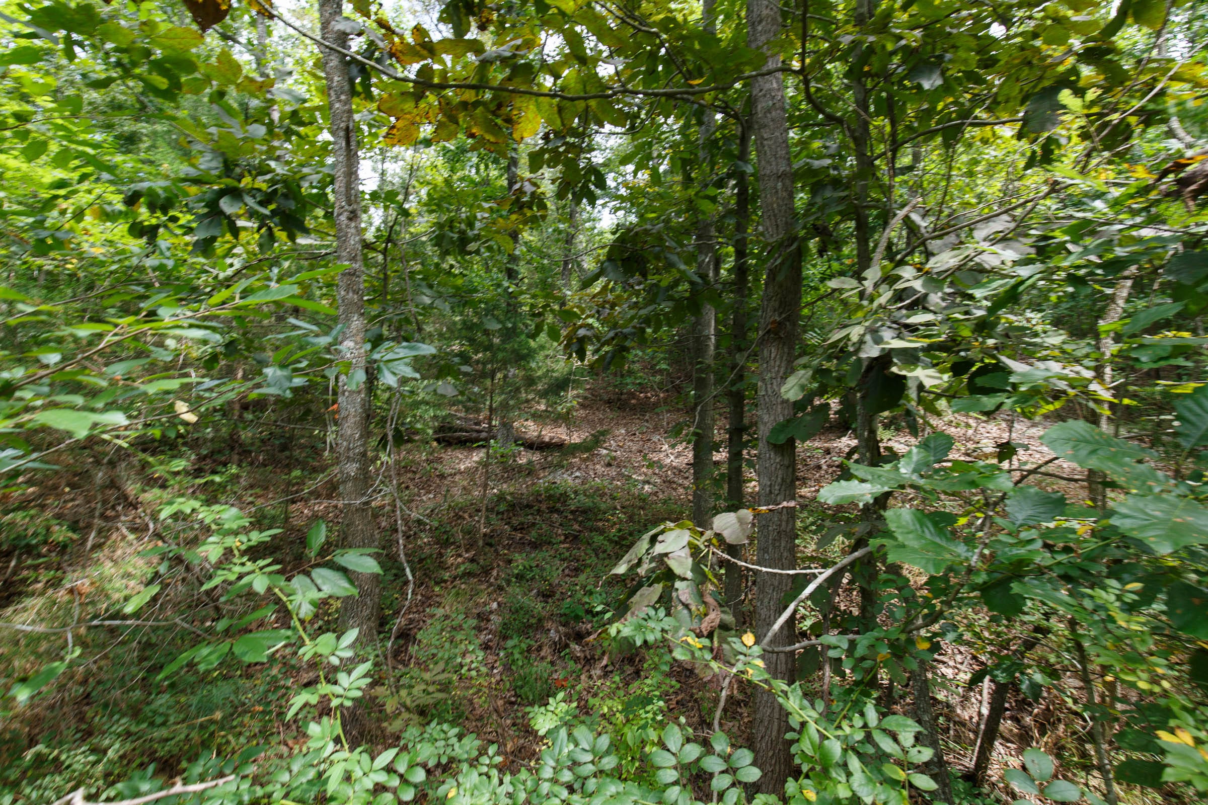 Spring Lake Plat 5 Tract 325 photo 1