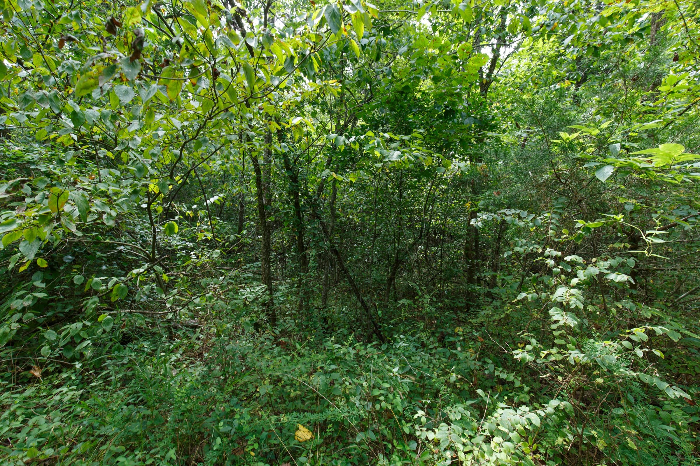 Spring Lake Plat 5 Tract 325 photo 6