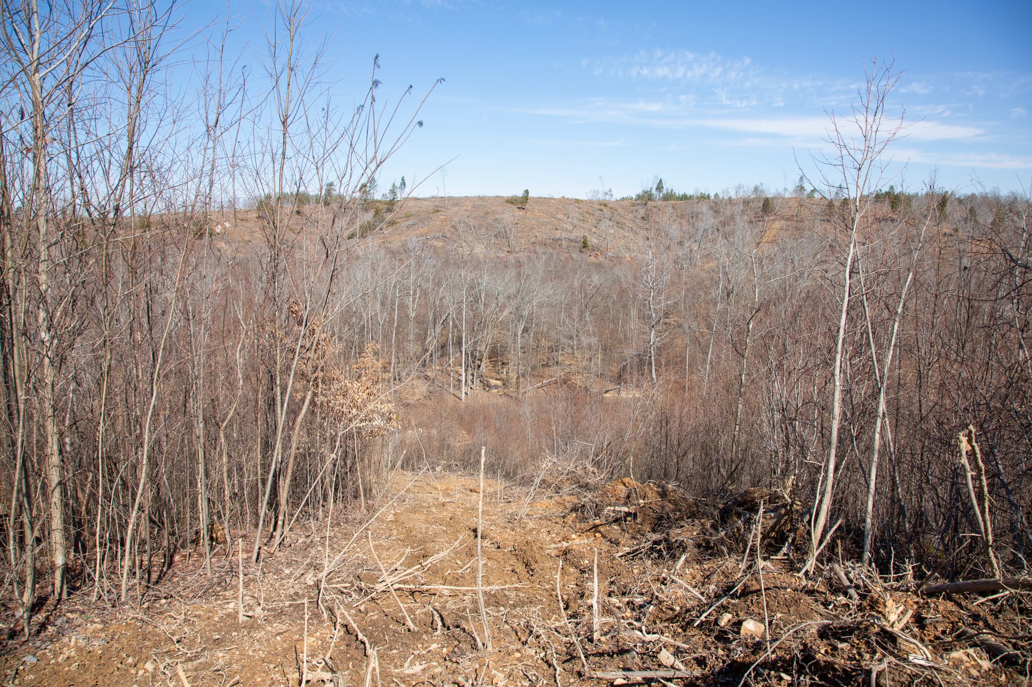Southwind Ranch Tract 6 photo 3
