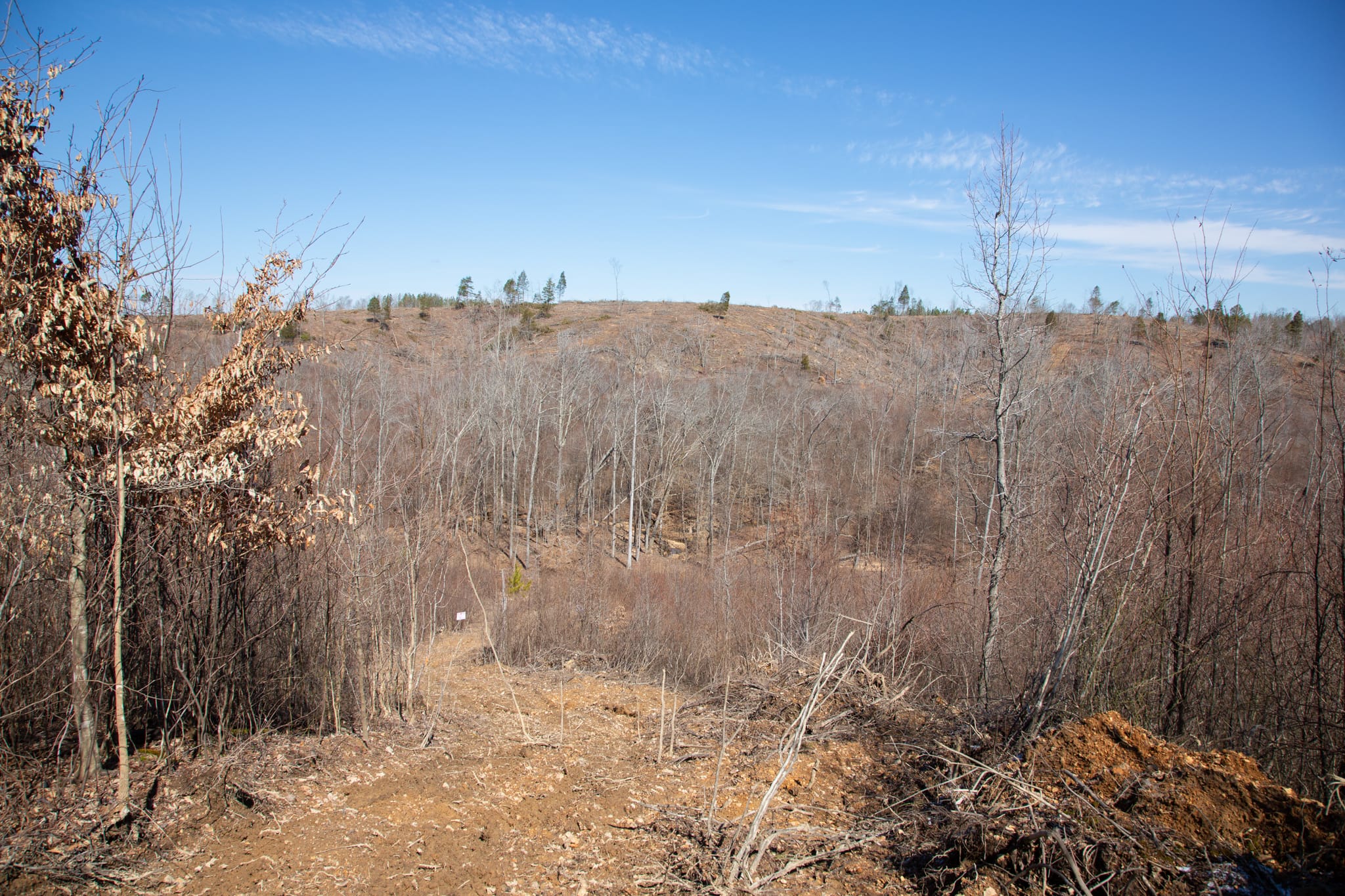 Southwind Ranch Tract 6 photo 6