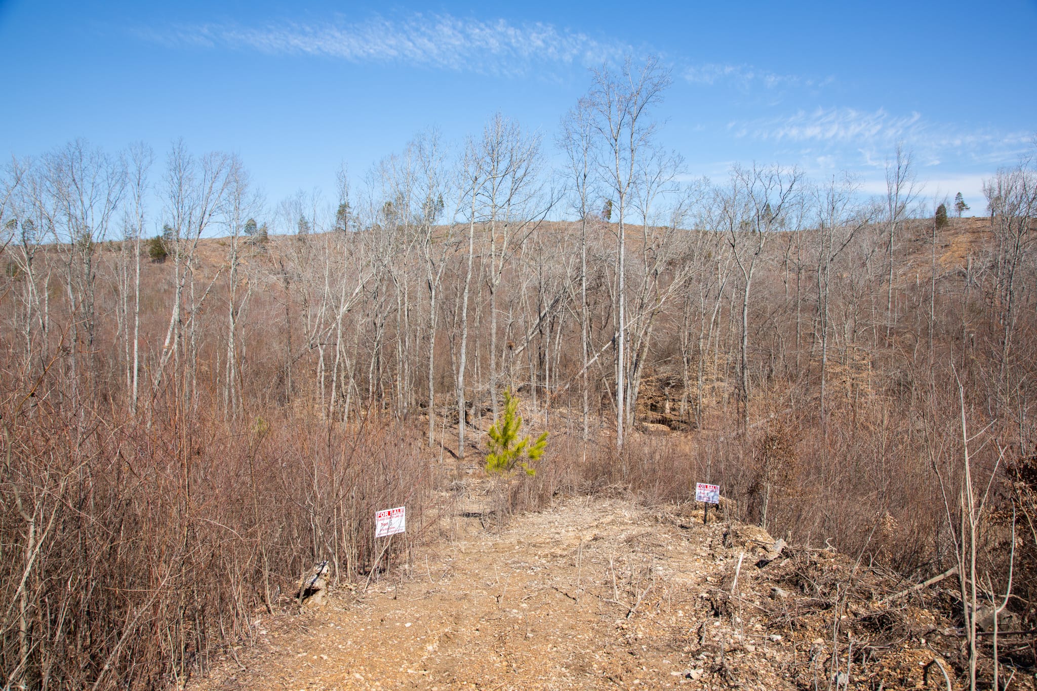 Southwind Ranch Tract 6 photo 11