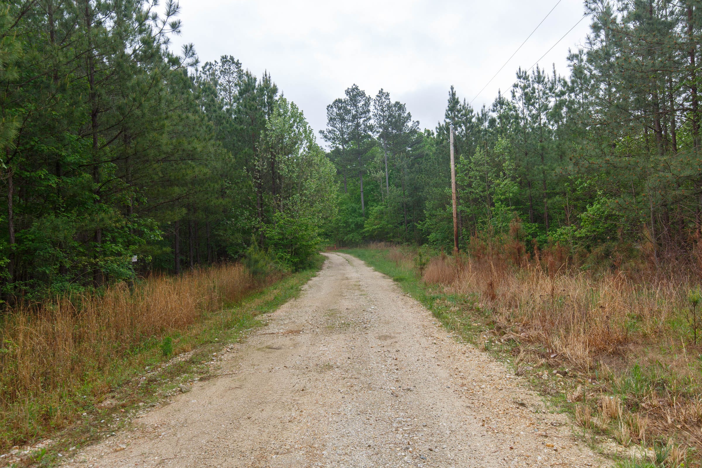 Red Barn Ranch Tract 1 photo 1
