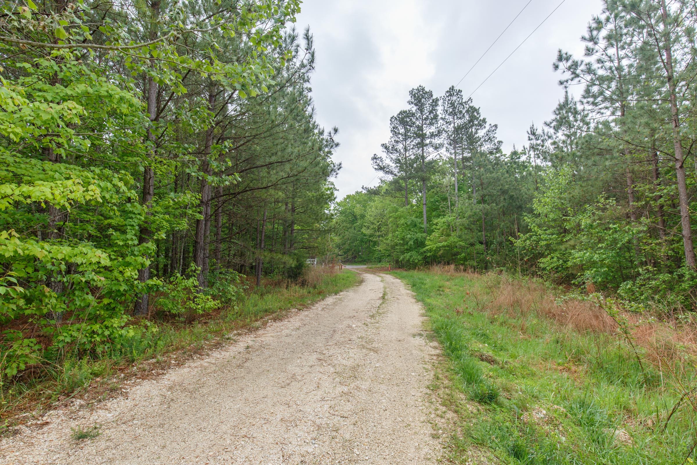 Red Barn Ranch Tract 1 photo 4