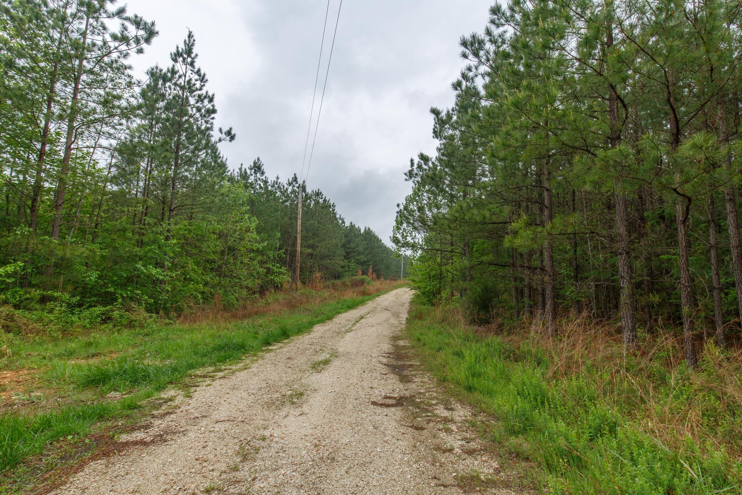 Red Barn Ranch Tract 1 photo 10