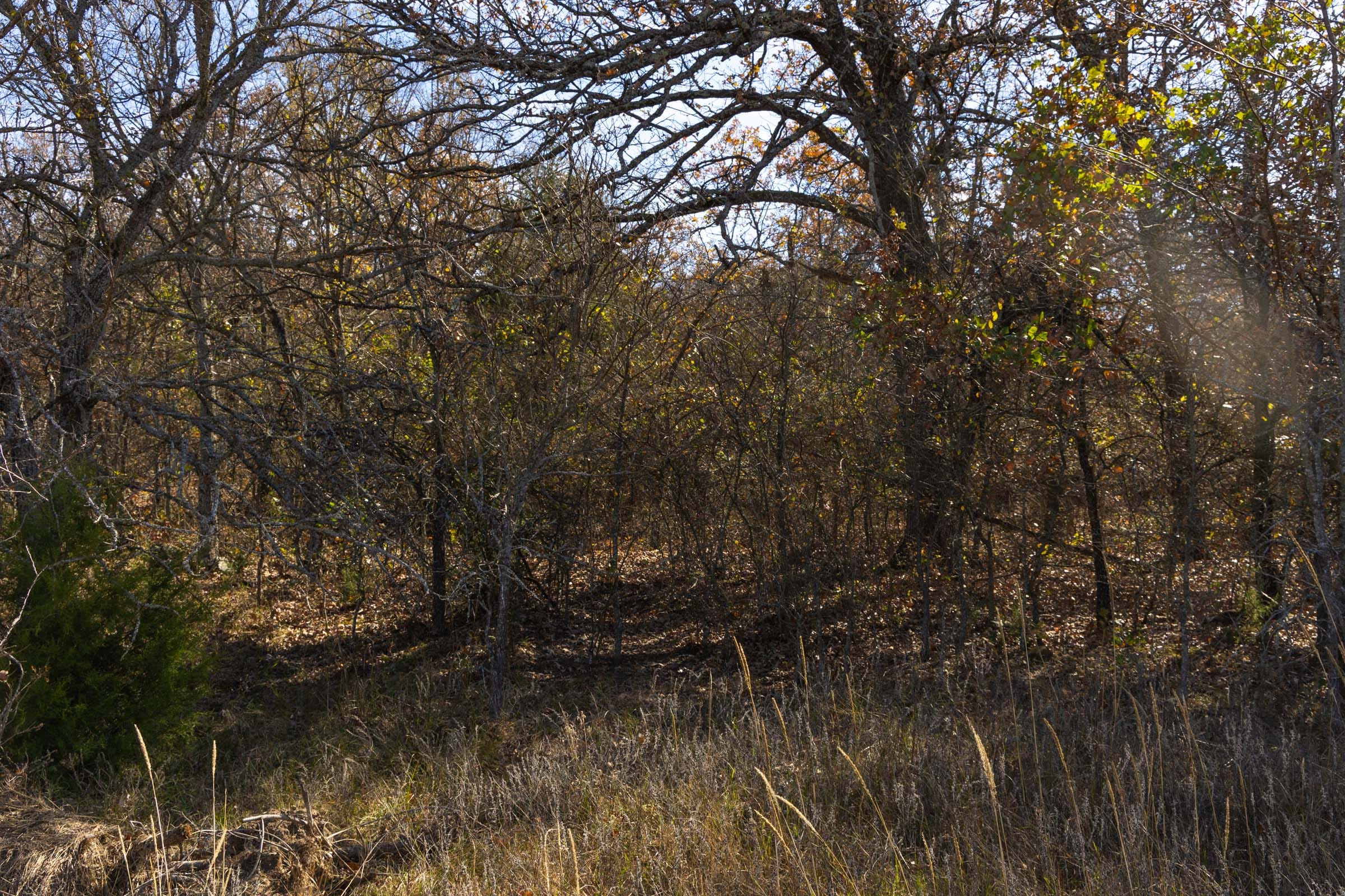 Harmony Hills Tract 47 photo 6