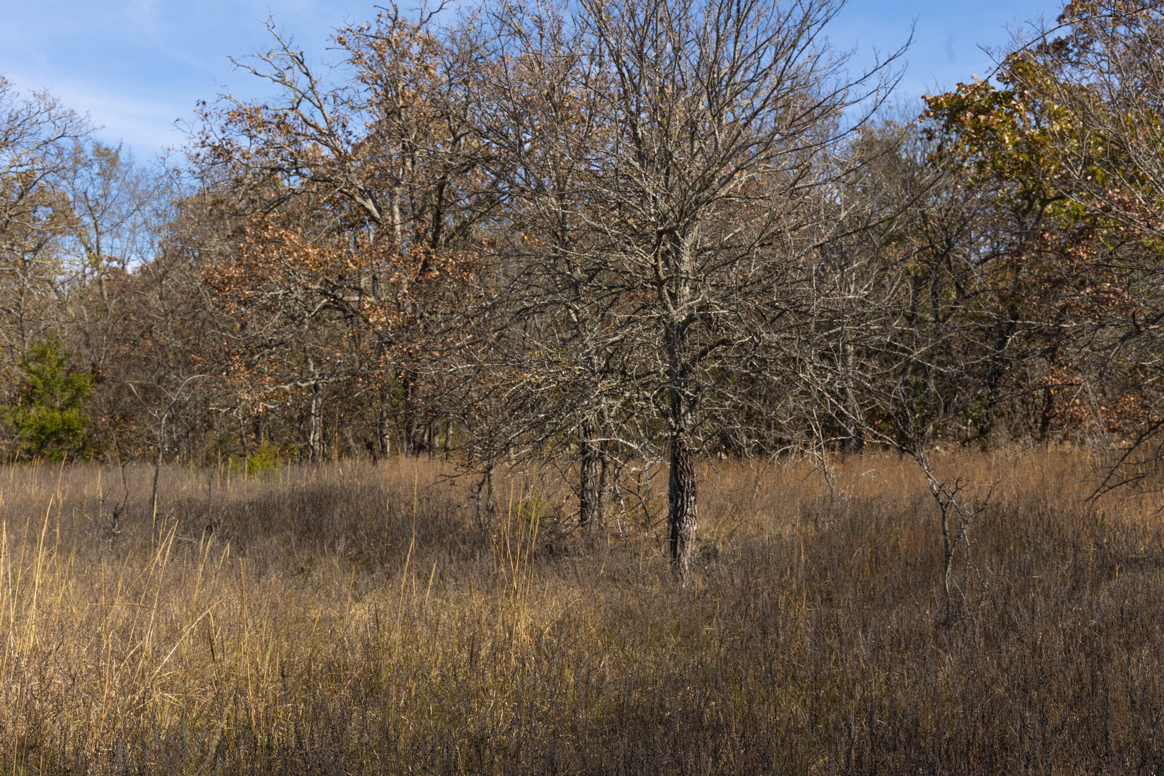 Harmony Hills Tract 47 photo 3