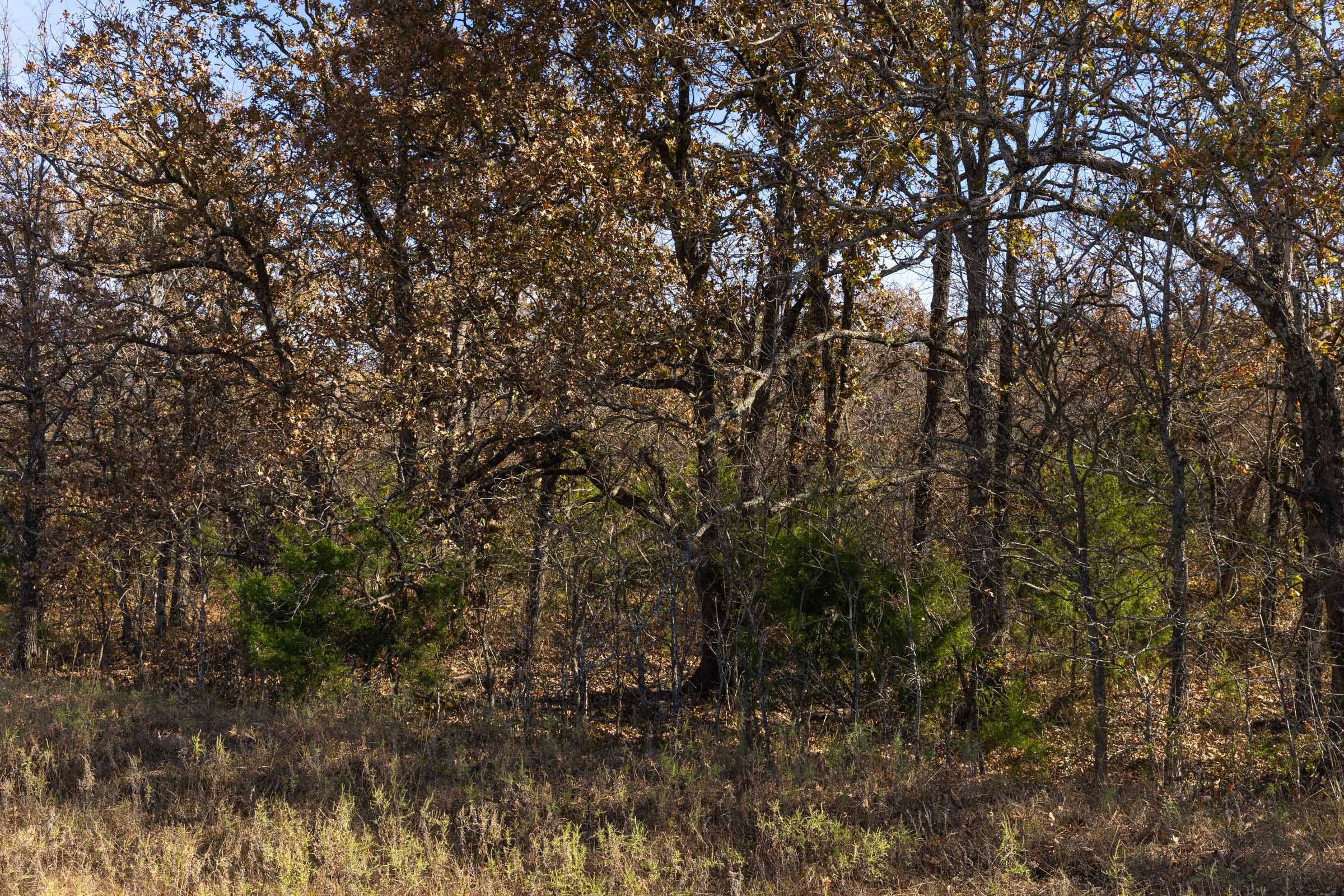 Harmony Hills Tract 47 photo 9
