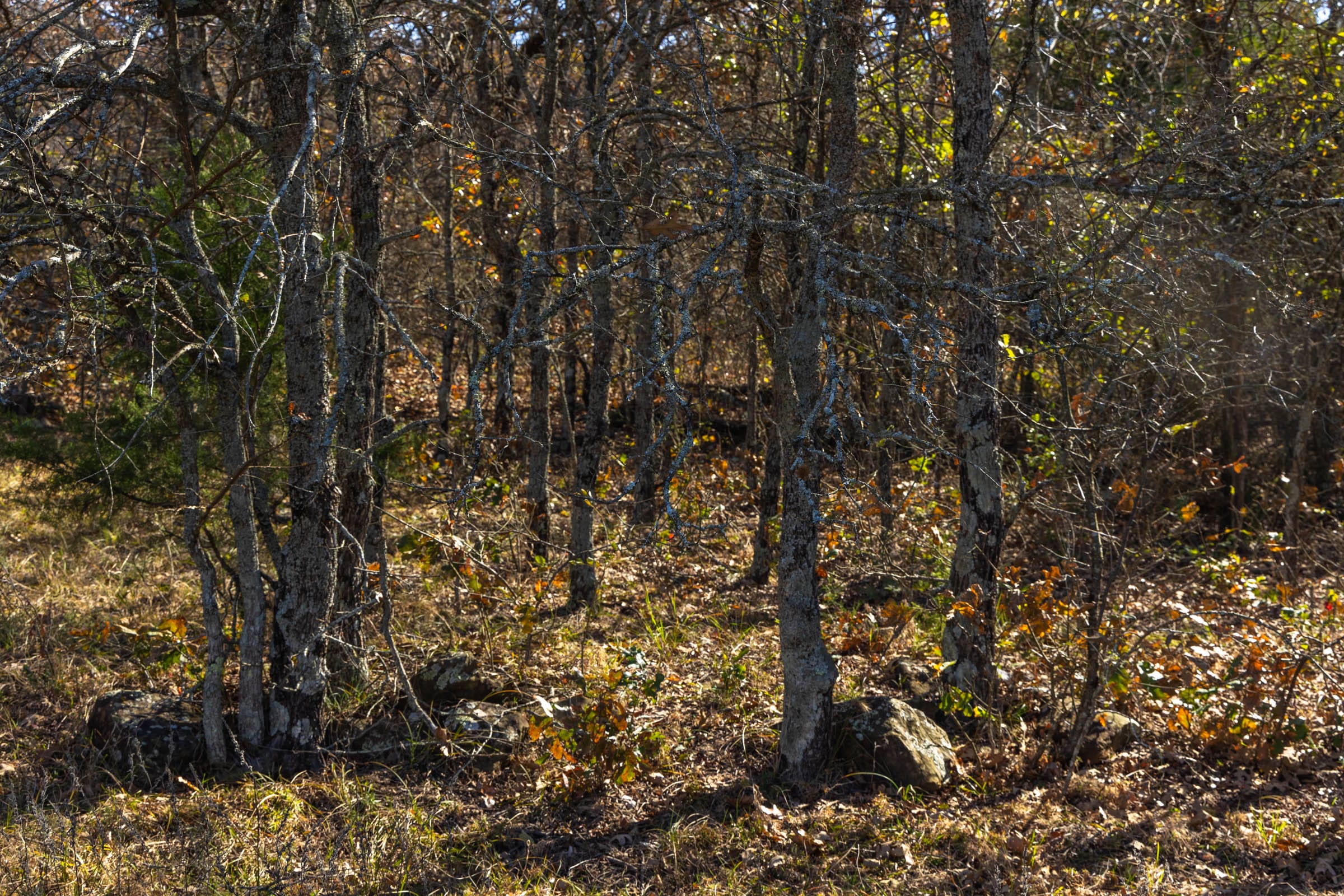 Harmony Hills Tract 47 photo 4