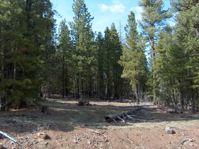 California Pines Tract 42 photo 1