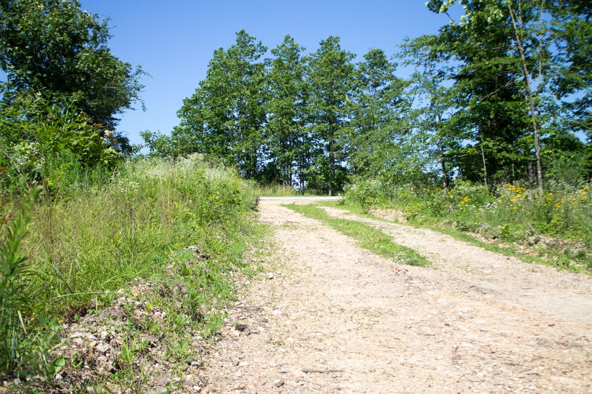 Timber Crossing Tract 6 photo 9