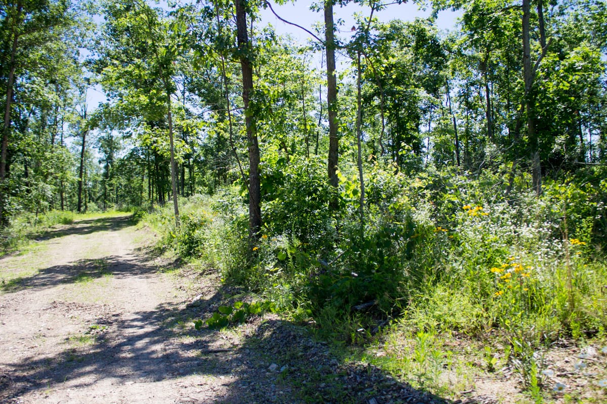 Timber Crossing Tract 6 photo 10