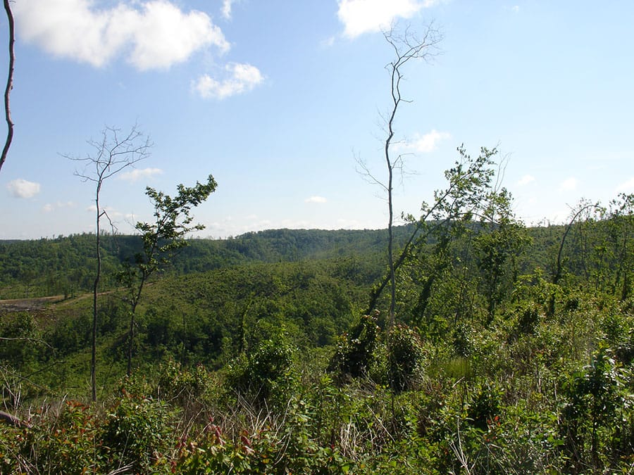 Antler Ridge Tract 32 photo 1