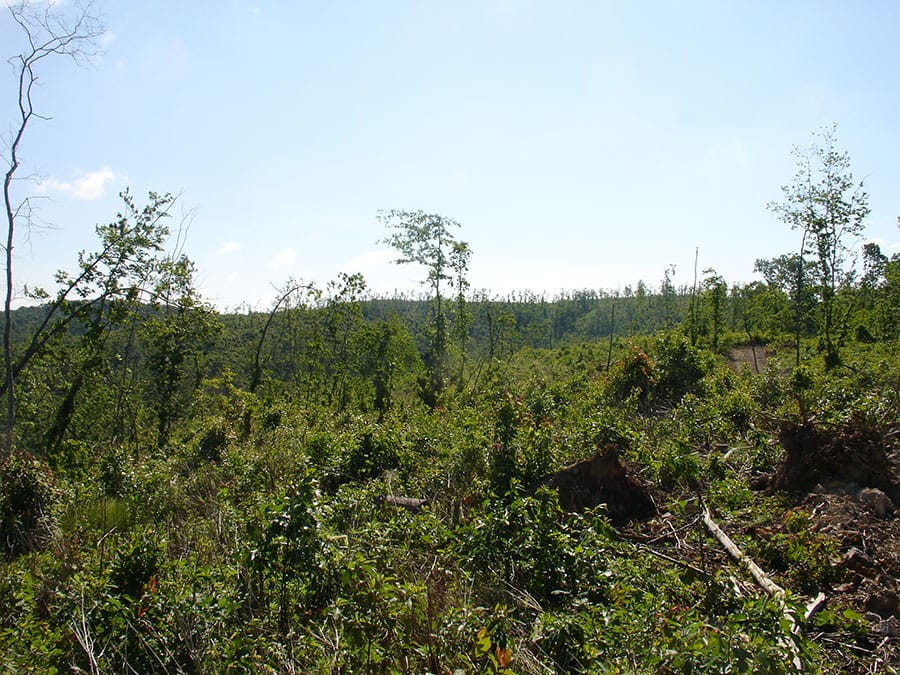 Antler Ridge Tract 32 photo 2