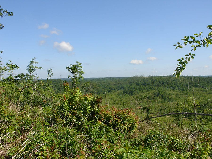 Antler Ridge Tract 32 photo 3