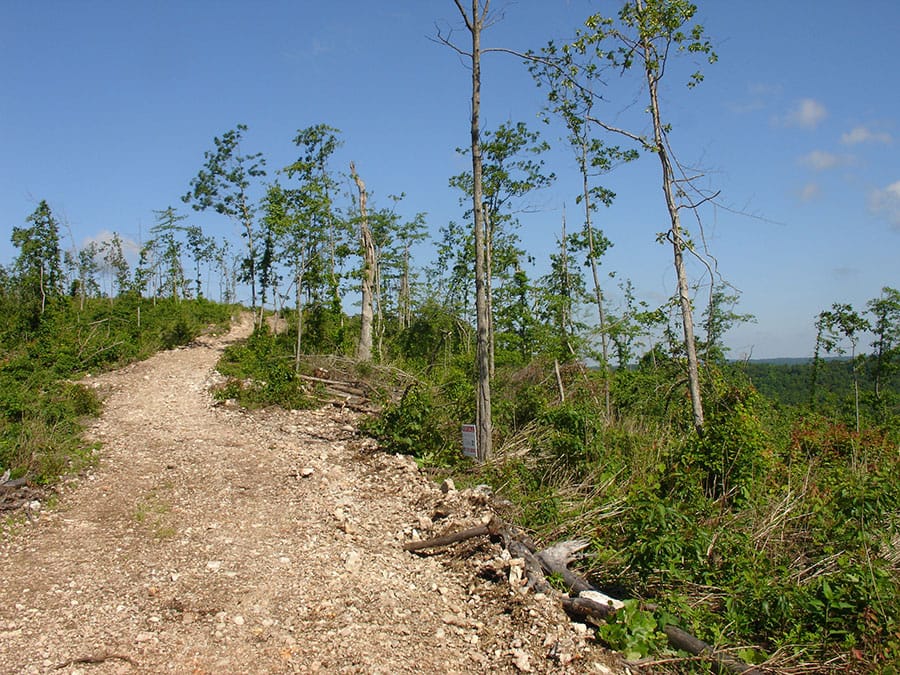 Antler Ridge Tract 32 photo 4