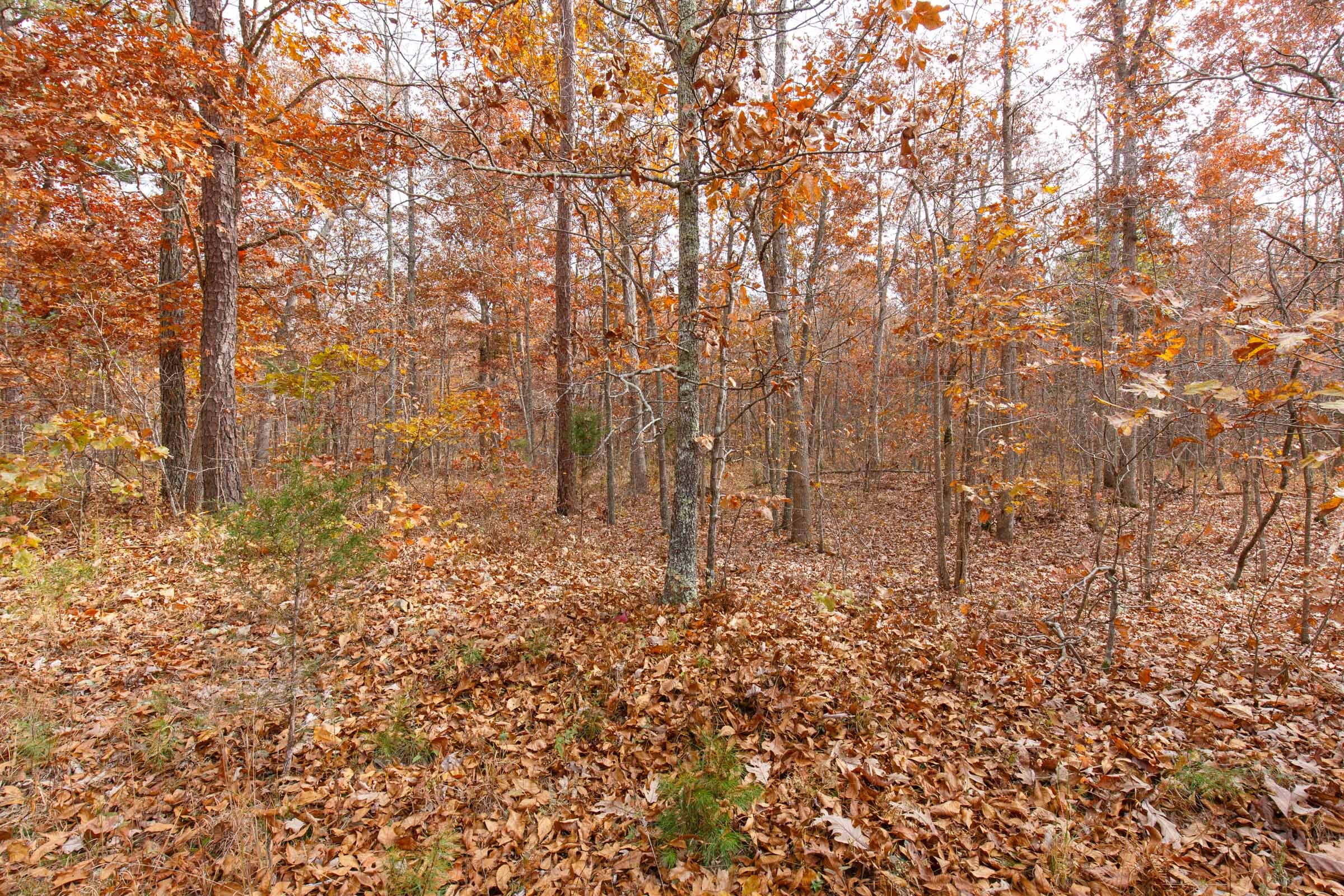 Hawkcrest Tract 44 photo 3