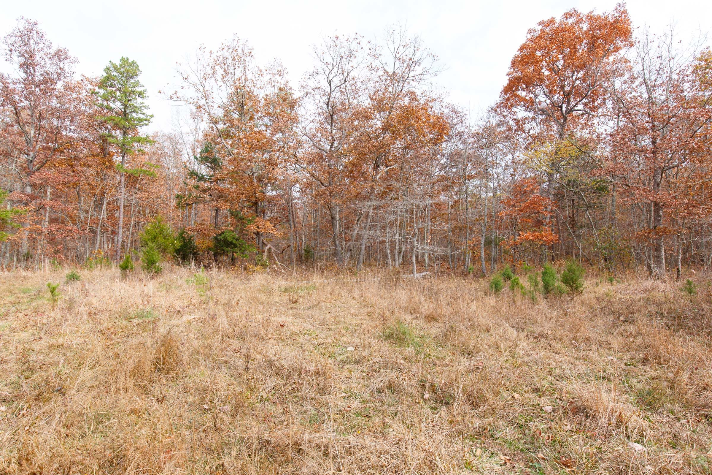 Hawkcrest Tract 44 photo 5