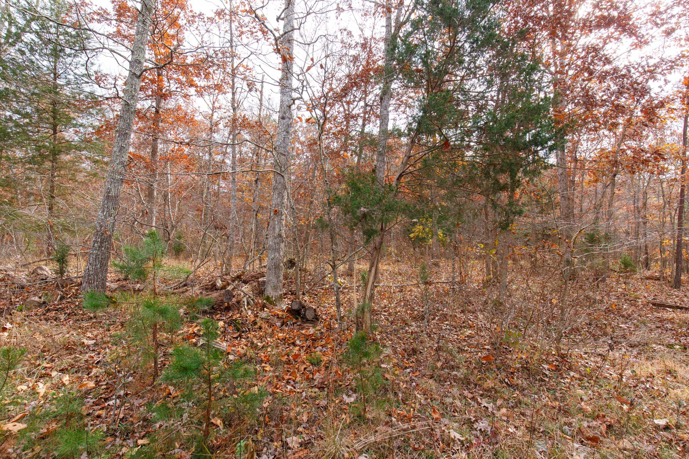 Hawkcrest Tract 44 photo 4
