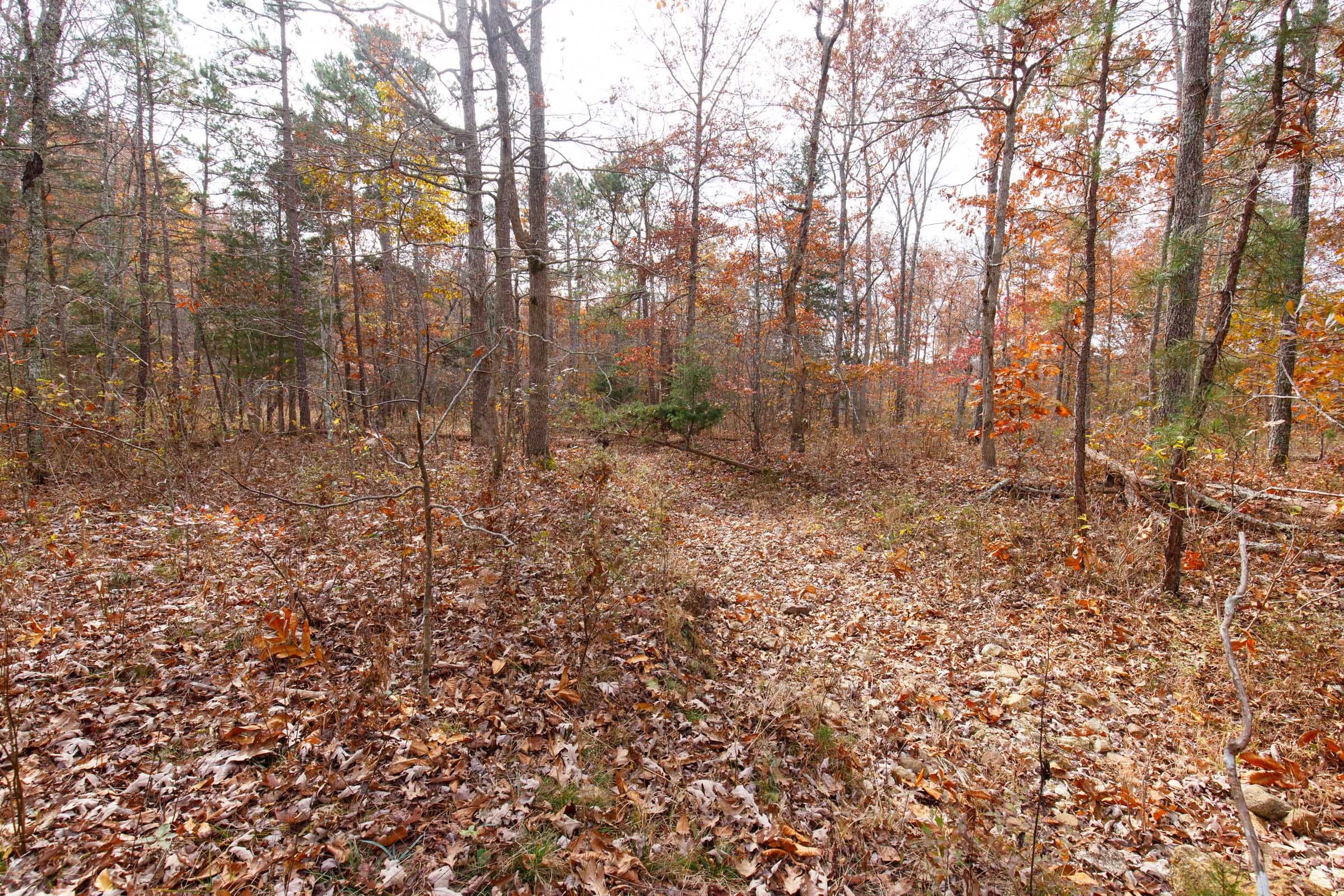 Hawkcrest Tract 44 photo 6