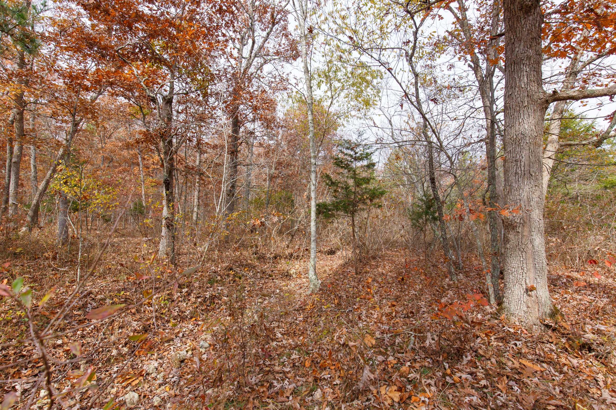 Hawkcrest Tract 44 photo 2