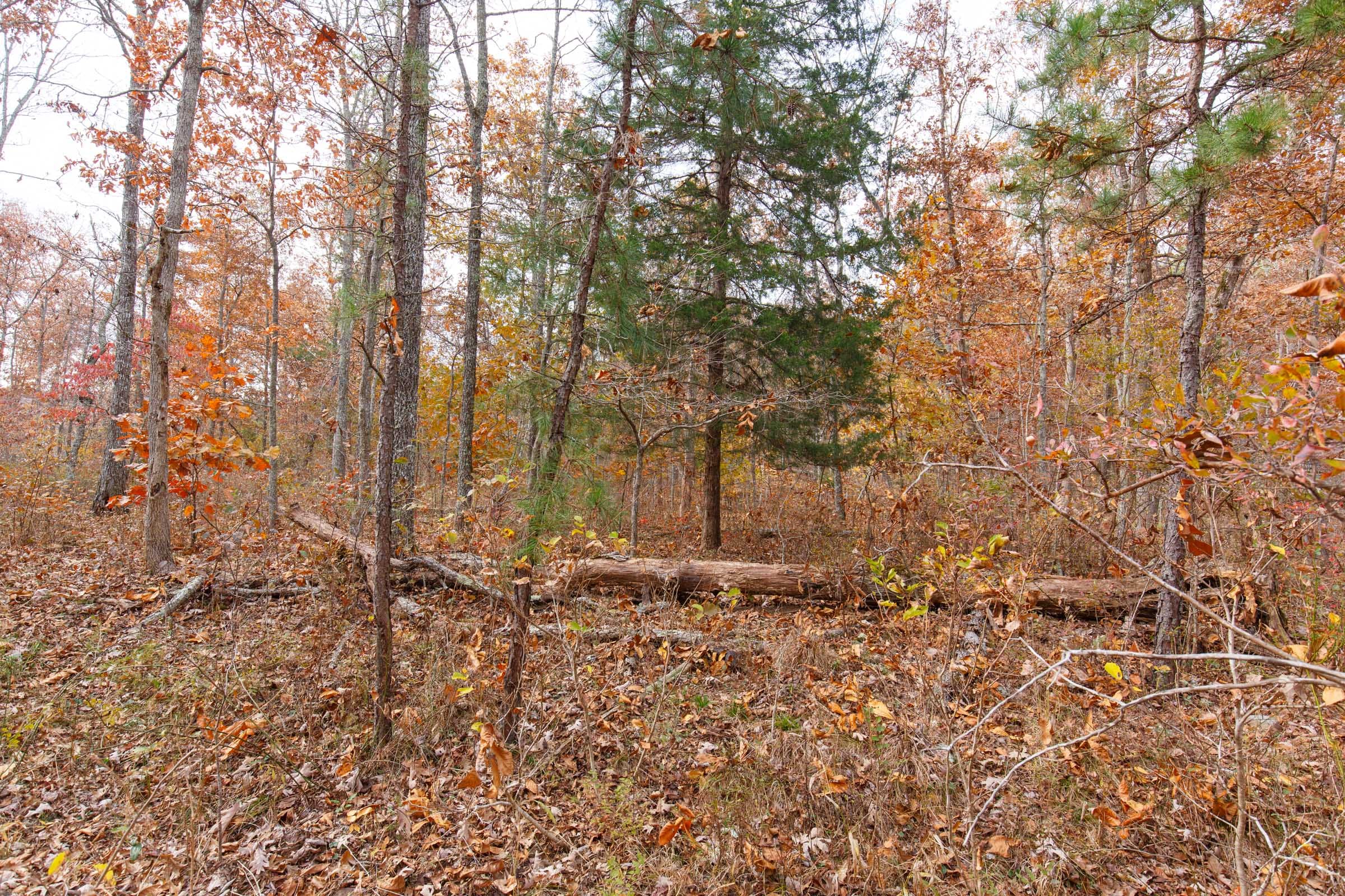 Hawkcrest Tract 44 photo 7