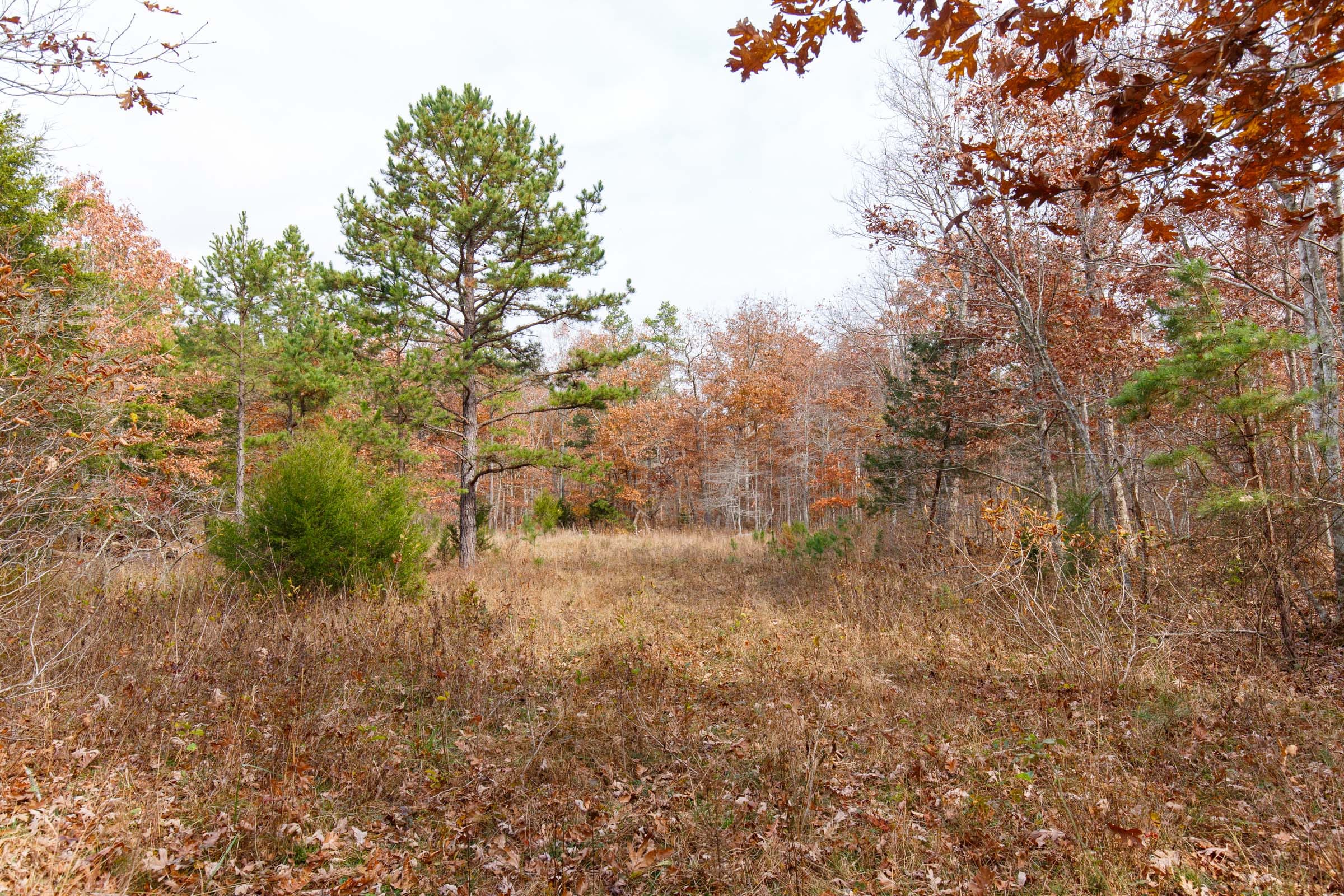Hawkcrest Tract 44 photo 1