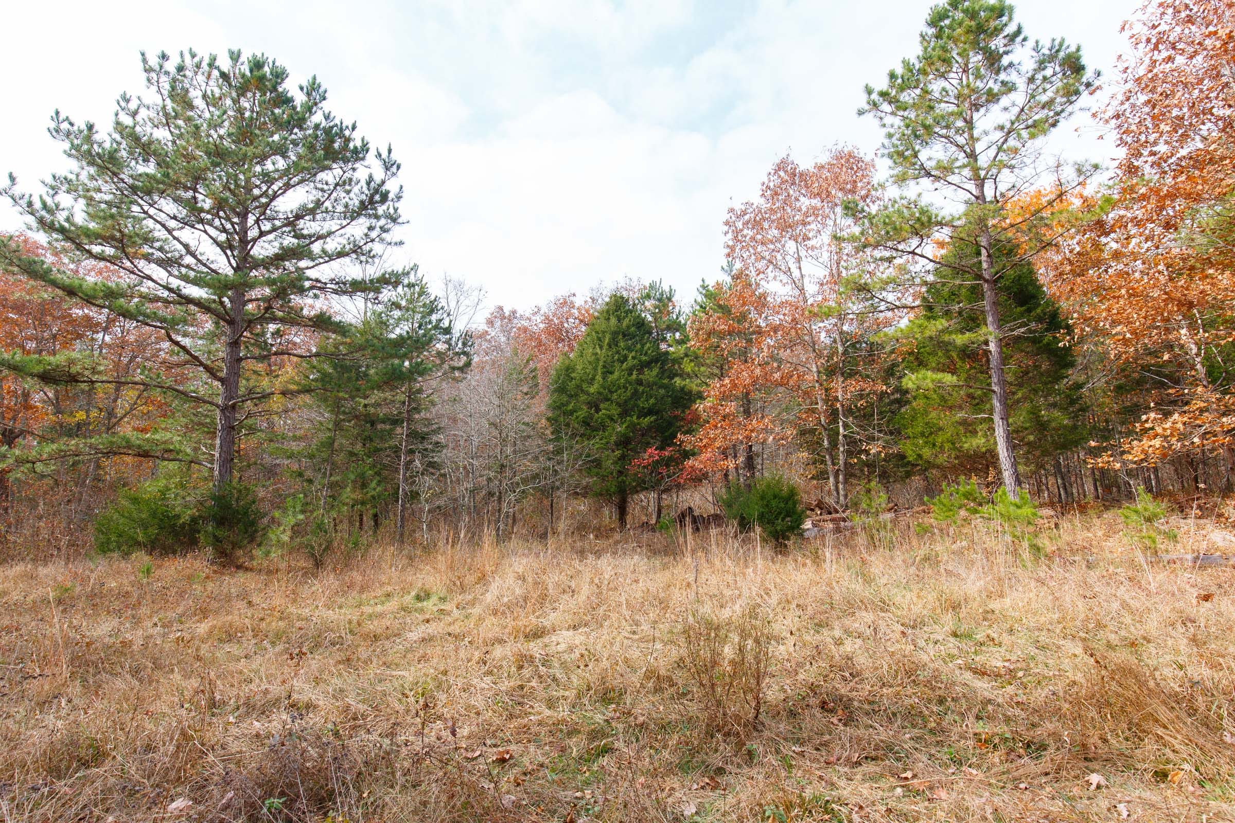 Hawkcrest Tract 44 photo 8