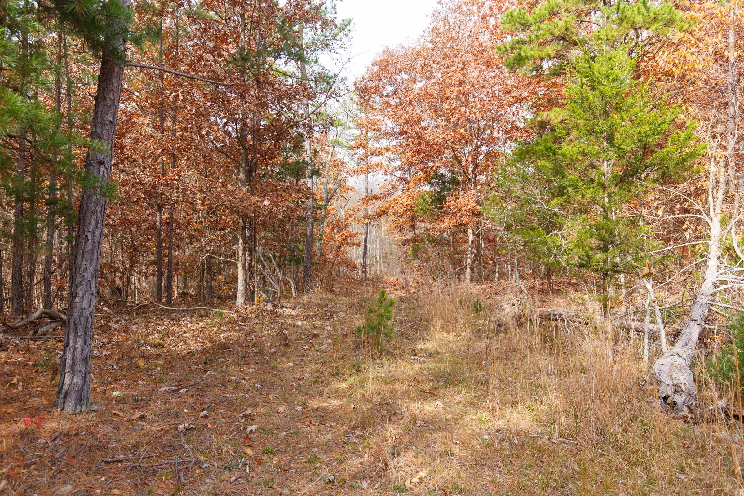 Hawkcrest Tract 44 photo 9