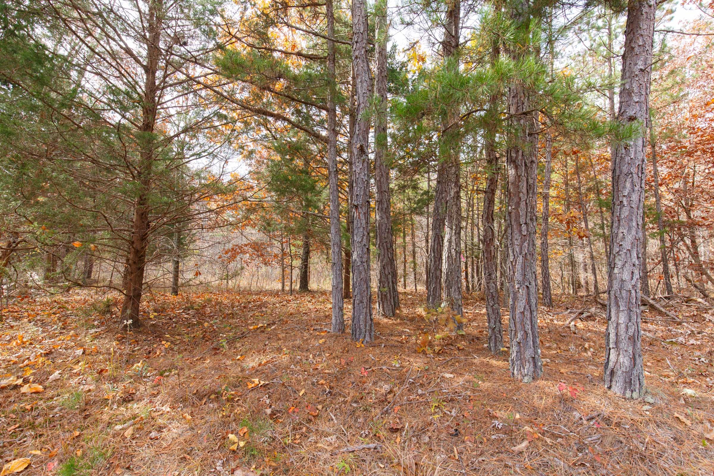Hawkcrest Tract 44 photo 10