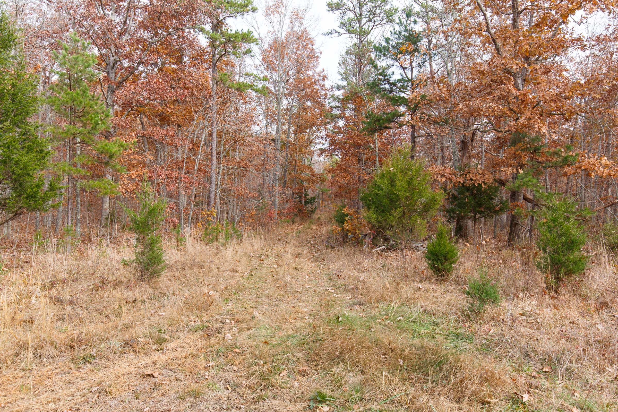 Hawkcrest Tract 44 photo 11