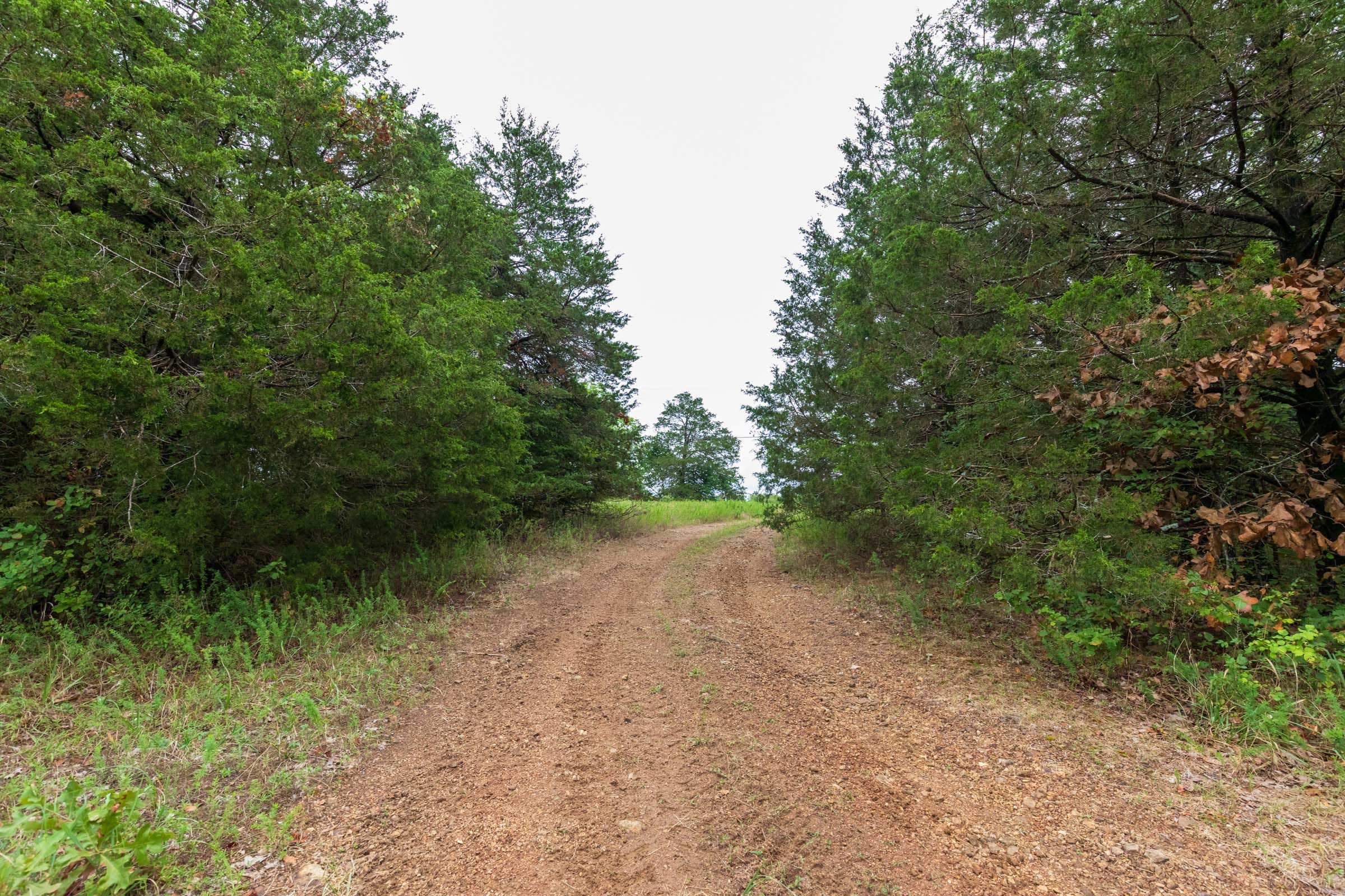 Heritage Bend Tract 47 photo 9