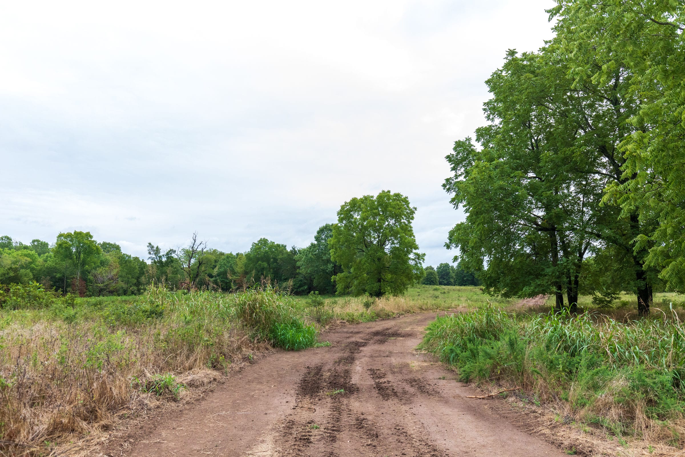 Heritage Bend Tract 47 photo 13