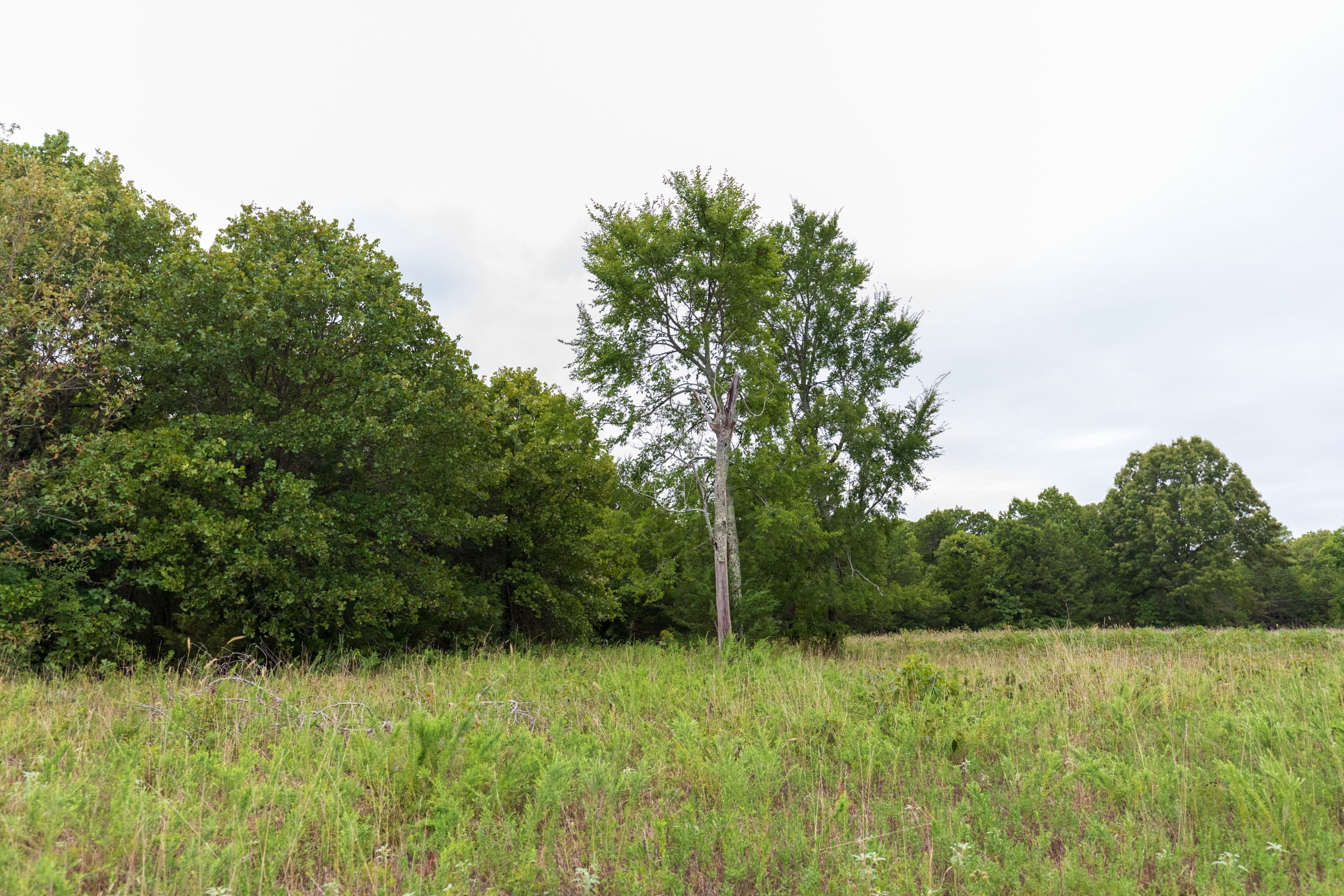 Heritage Bend Tract 47 photo 4