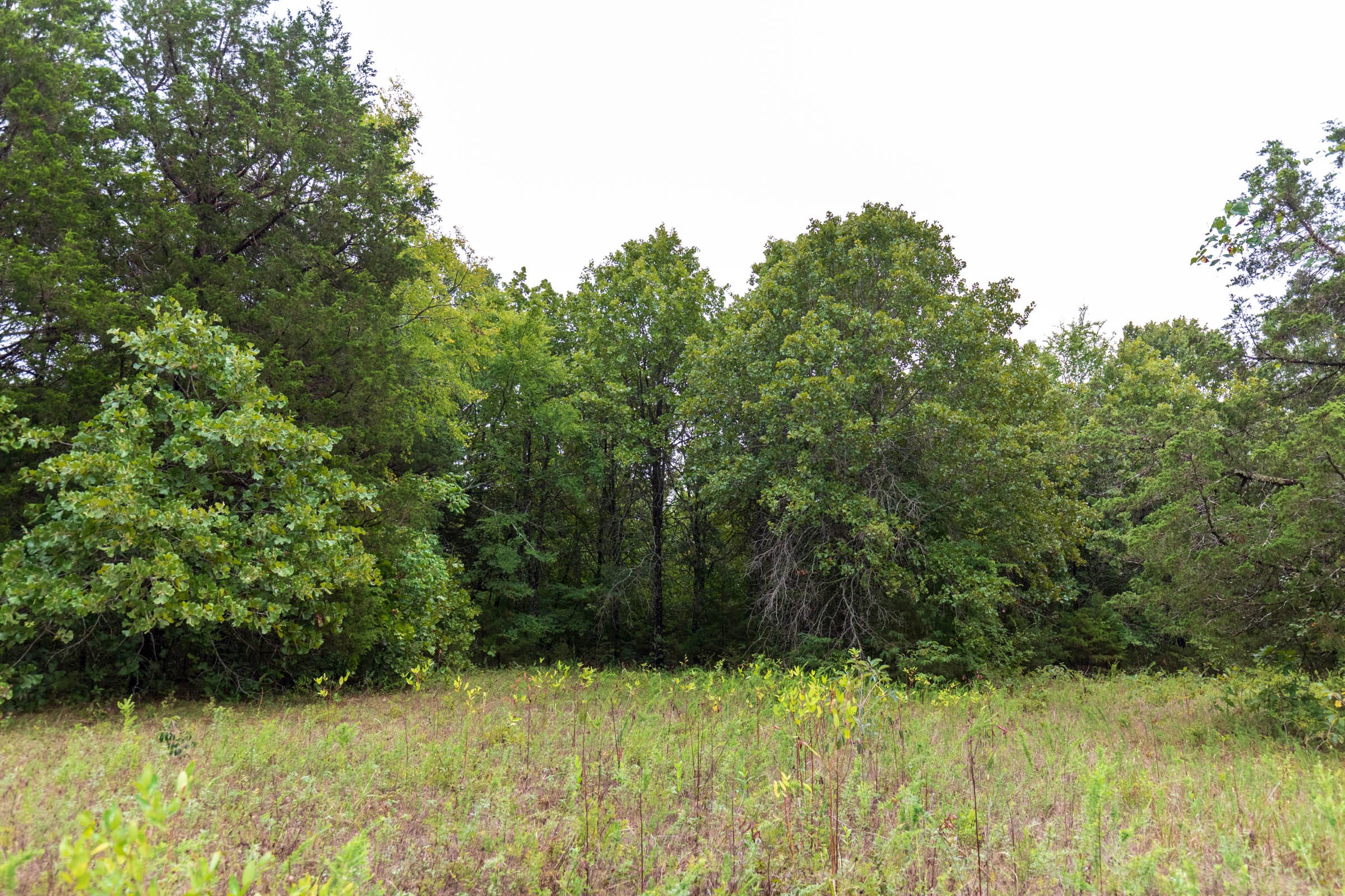 Heritage Bend Tract 47 photo 11