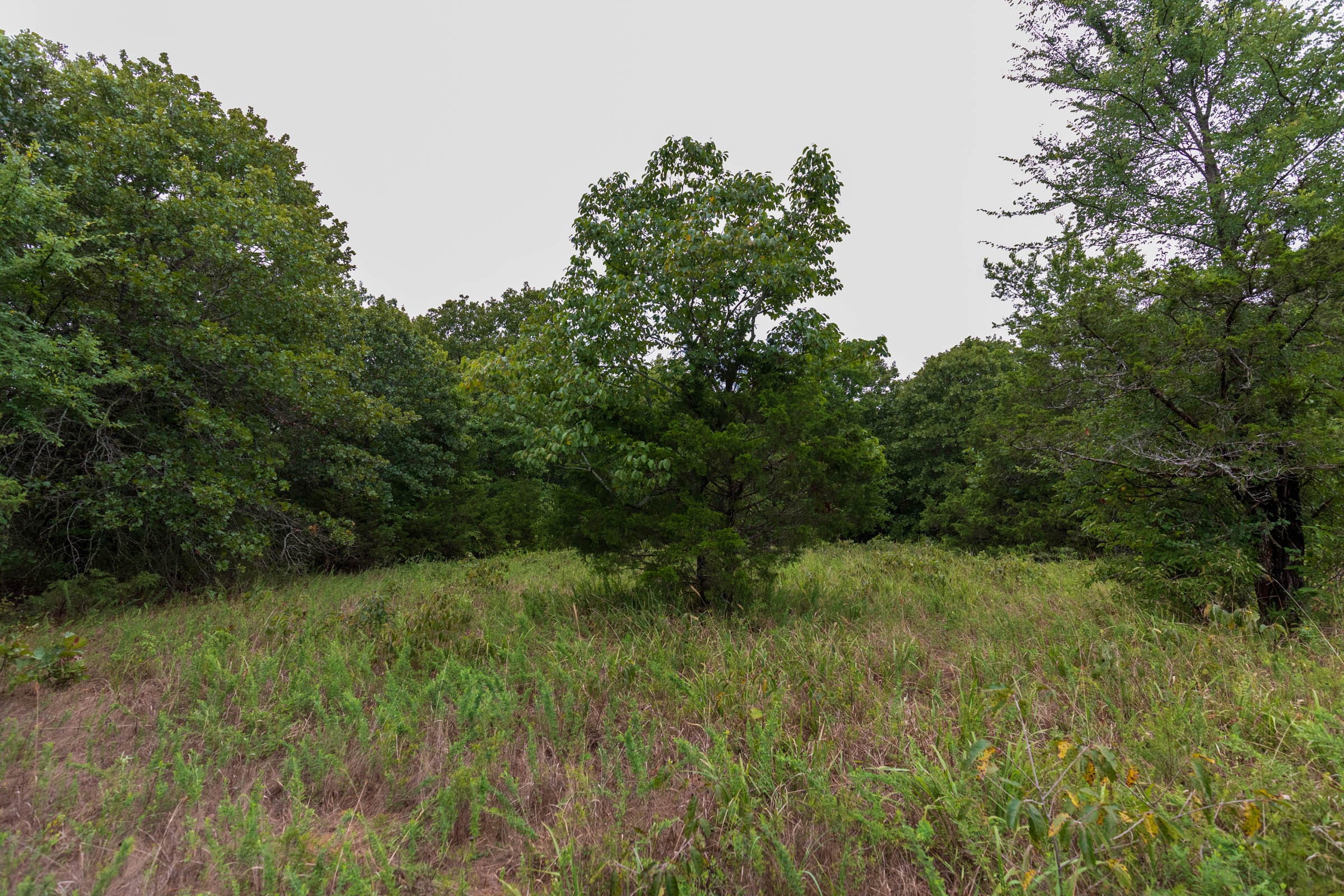 Heritage Bend Tract 47 photo 6