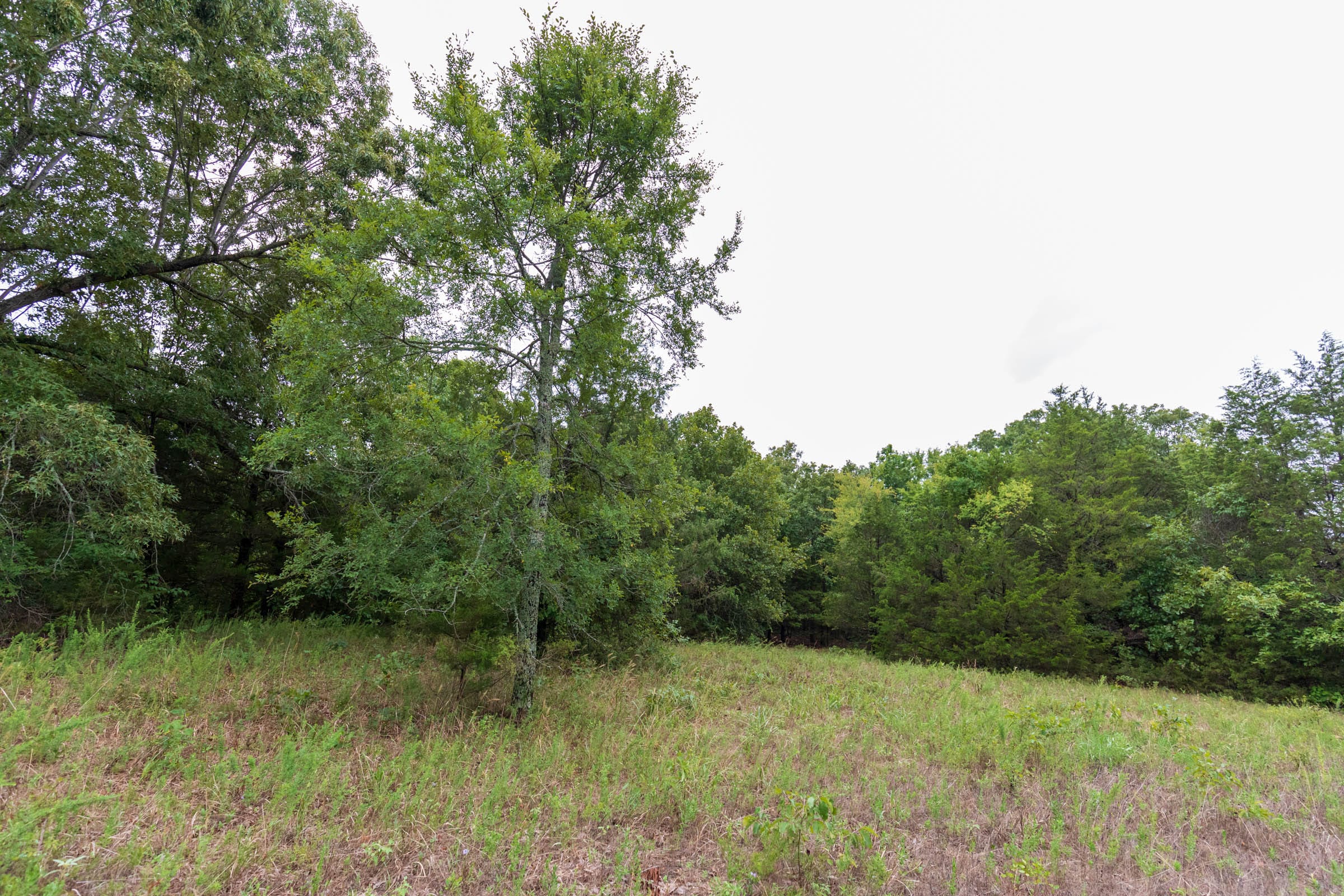 Heritage Bend Tract 47 photo 14