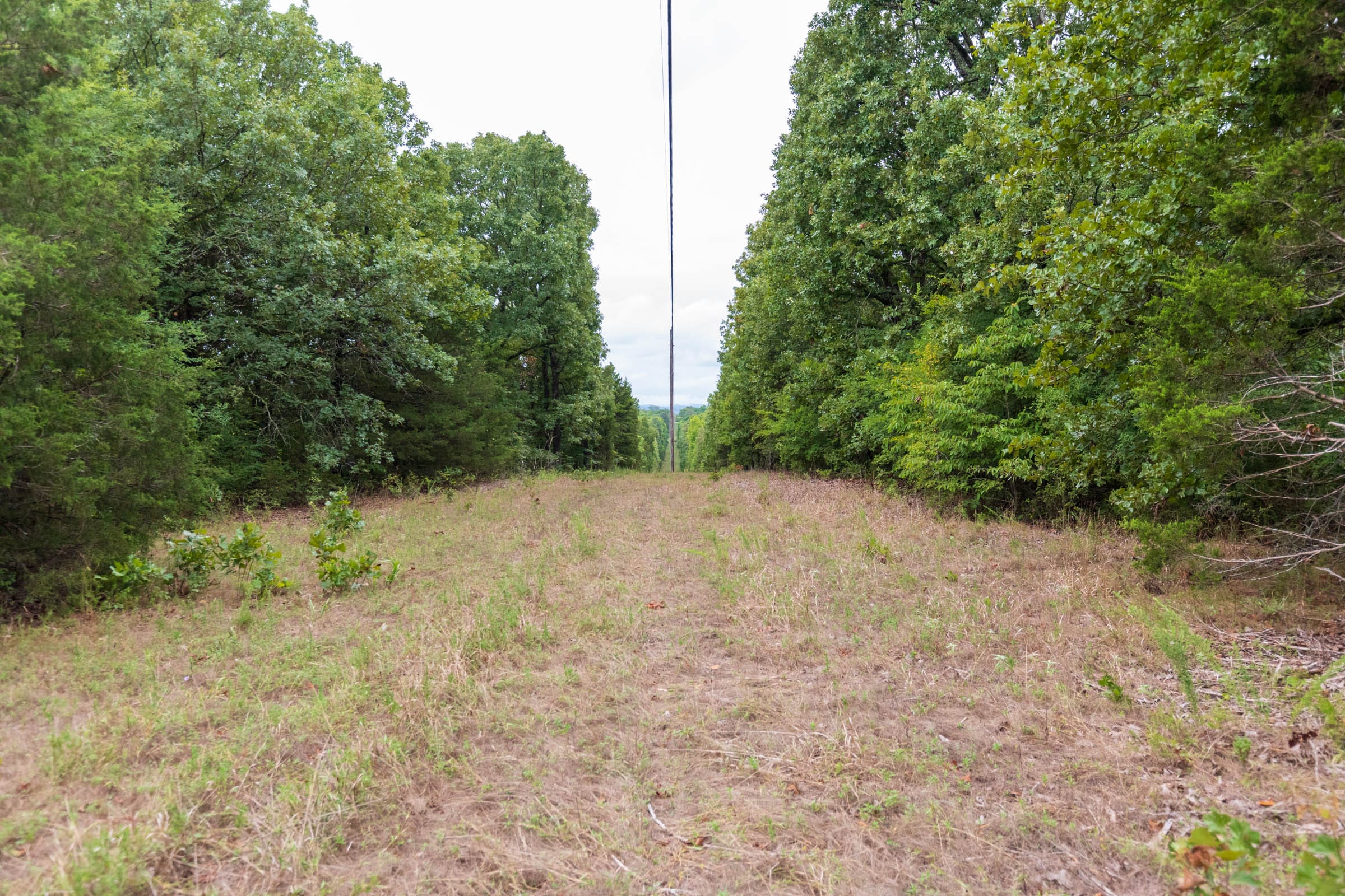 Heritage Bend Tract 47 photo 7