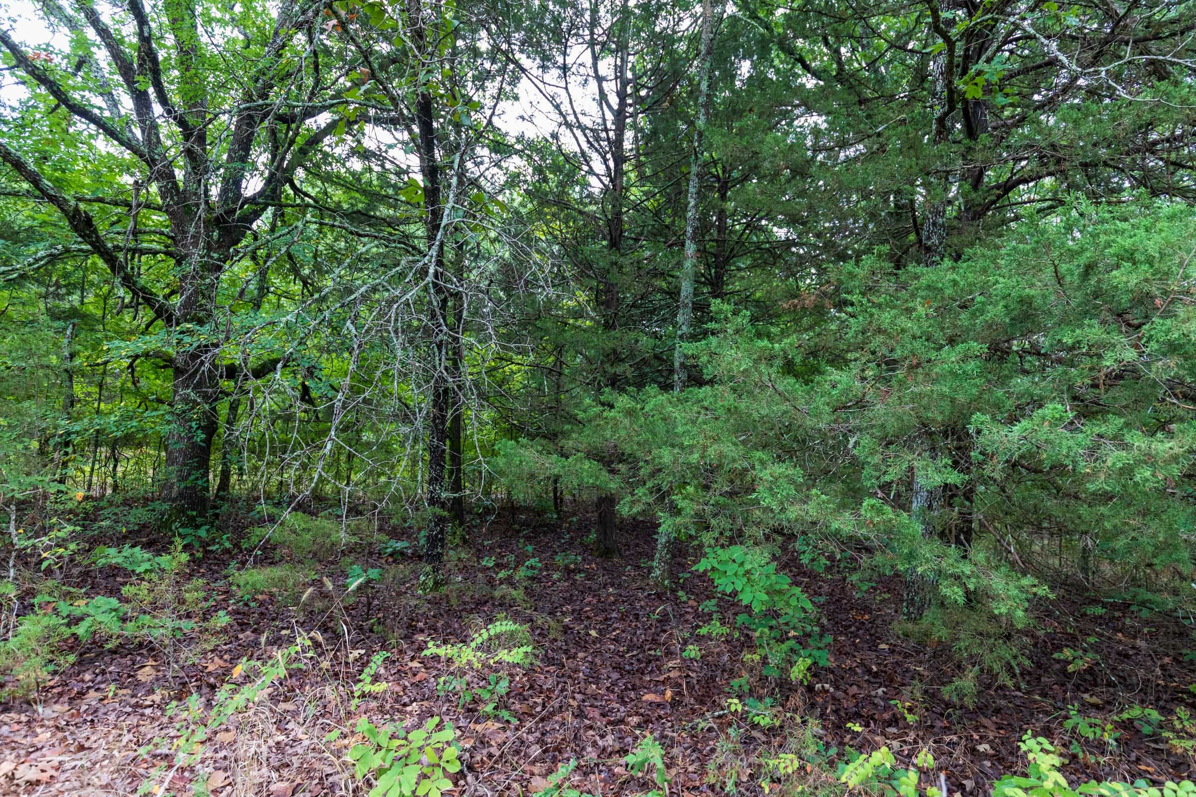 Heritage Bend Tract 47 photo 10