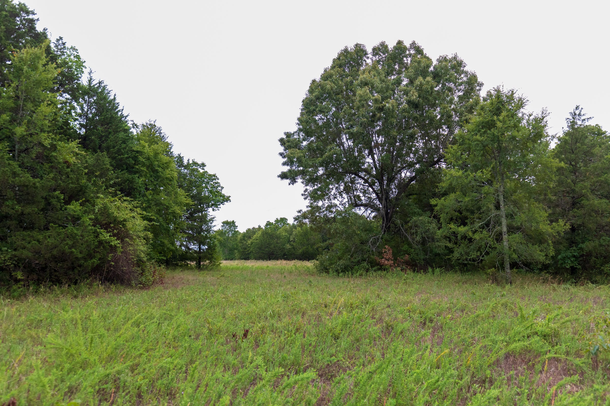 Heritage Bend Tract 47 photo 8
