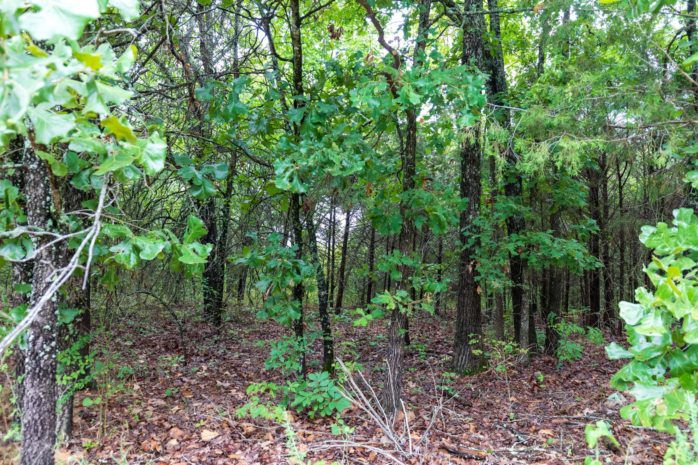 Heritage Bend Tract 47 photo 15