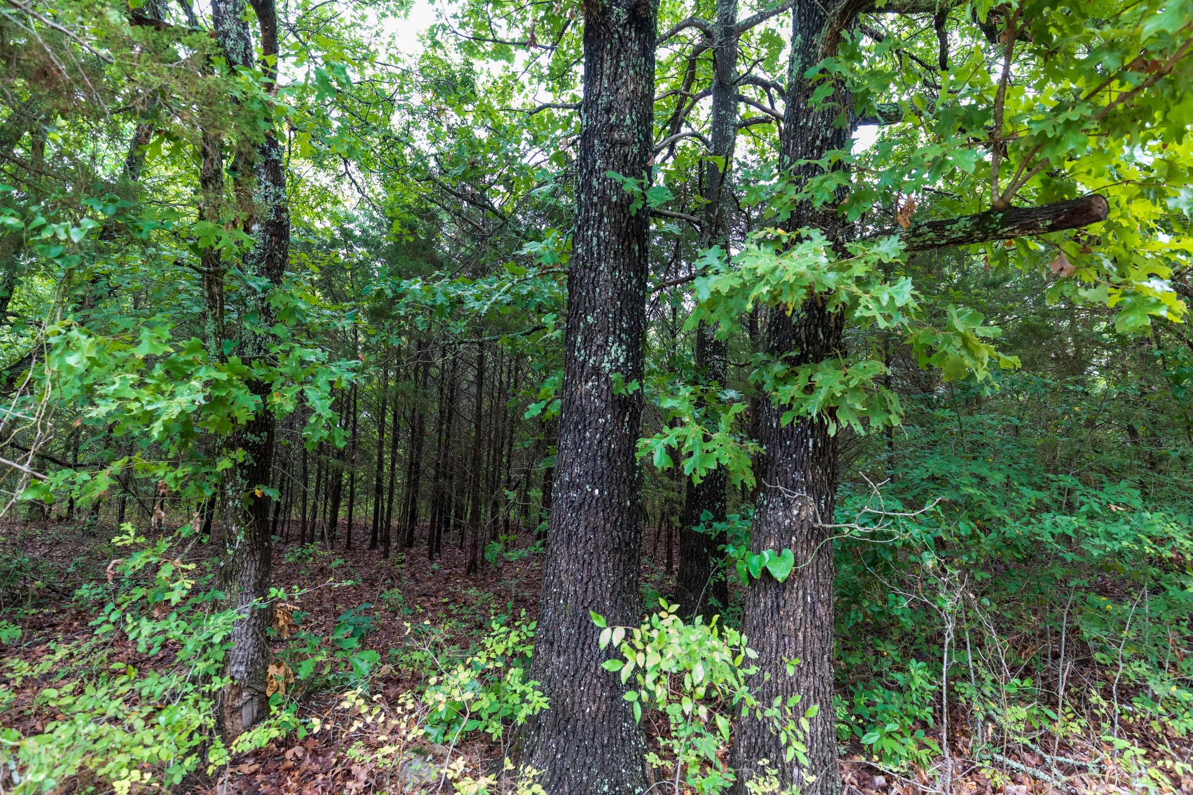 Heritage Bend Tract 47 photo 12