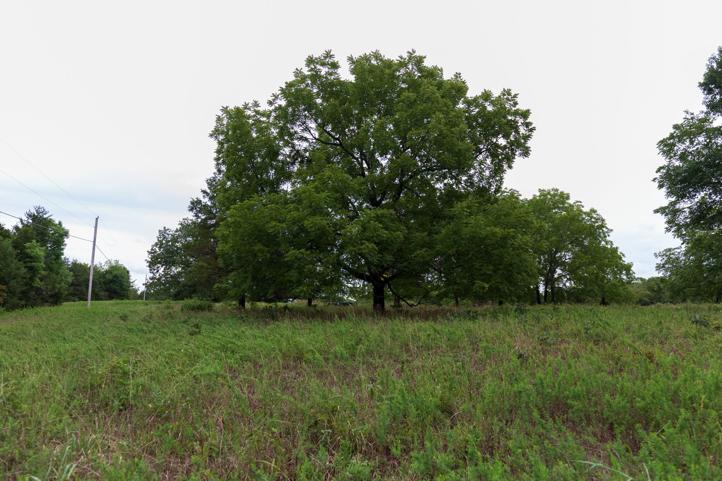 Heritage Bend Tract 47 photo 16