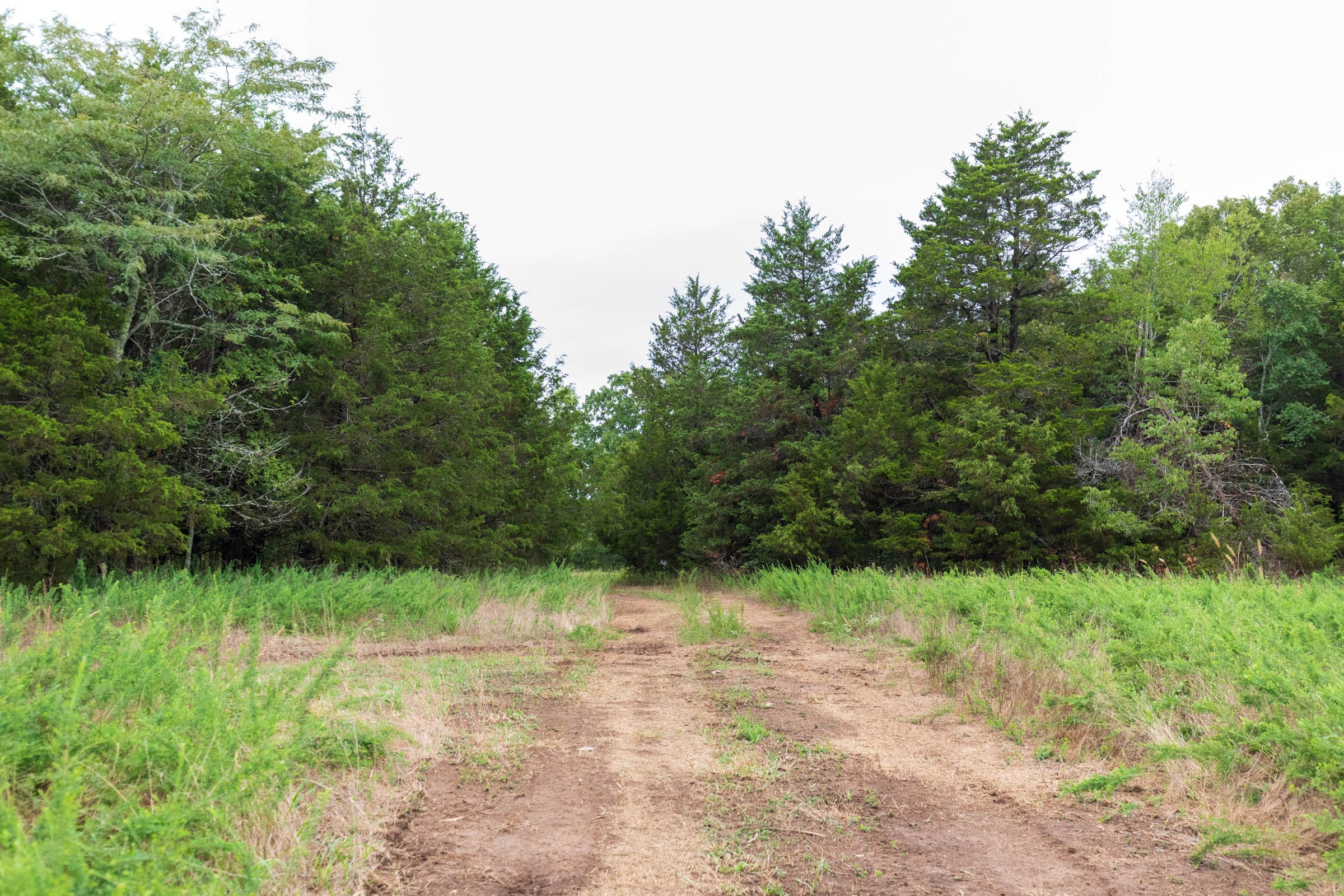 Heritage Bend Tract 47 photo 17