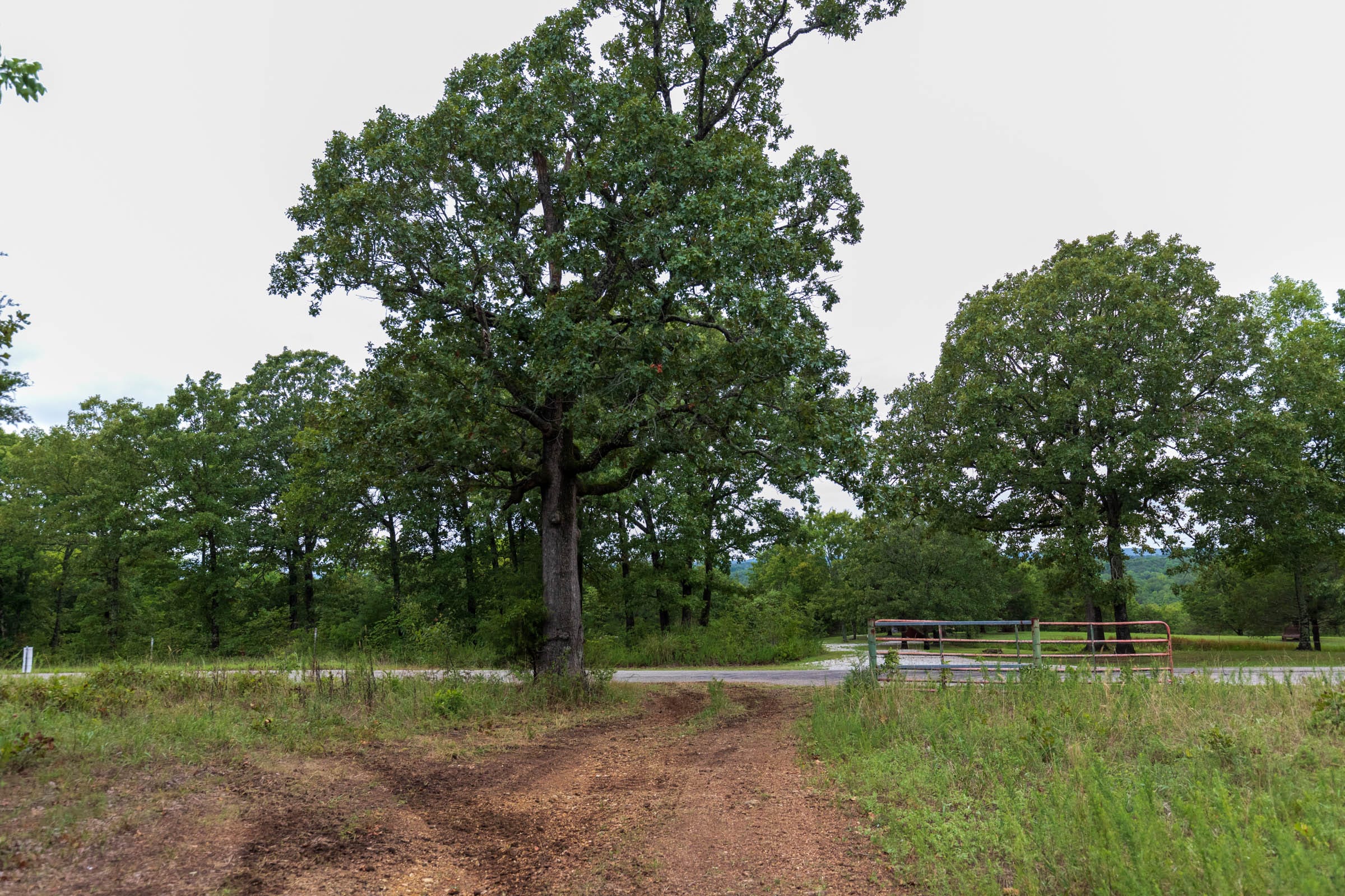 Heritage Bend Tract 47 photo 18