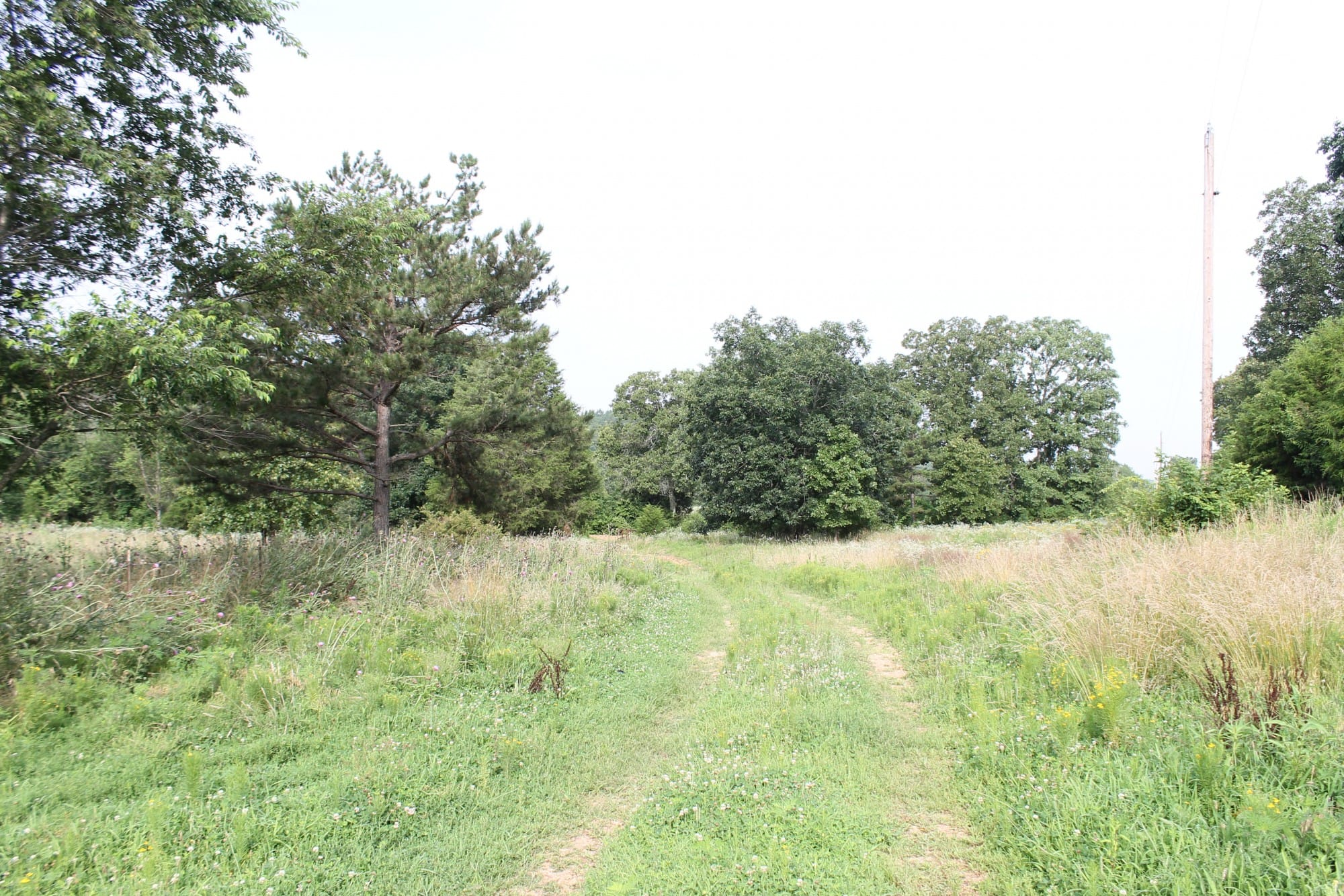 Green Mountain Ranch Tract 8 photo 1