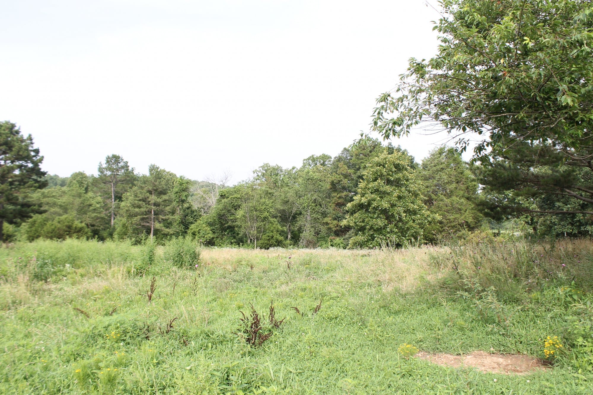 Green Mountain Ranch Tract 8 photo 2