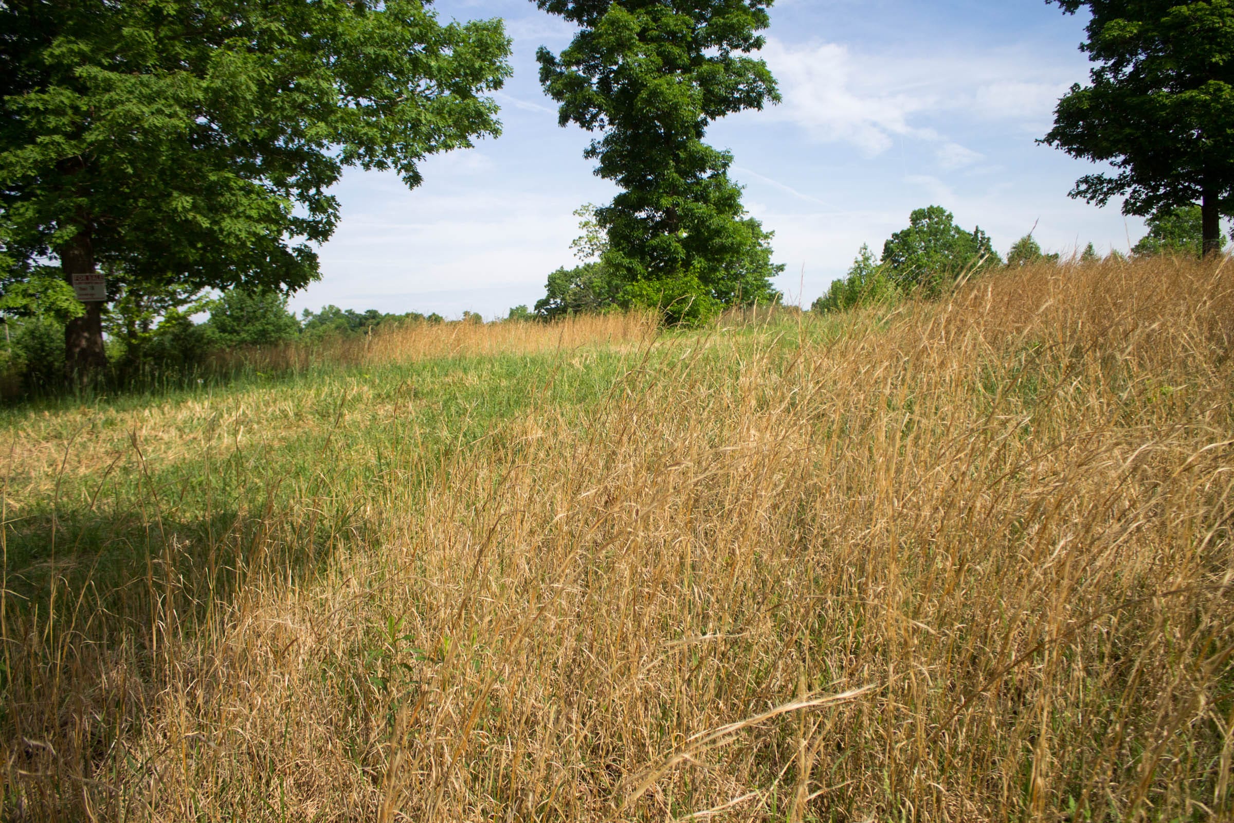 Laurel Ridge Tract 2 photo 5