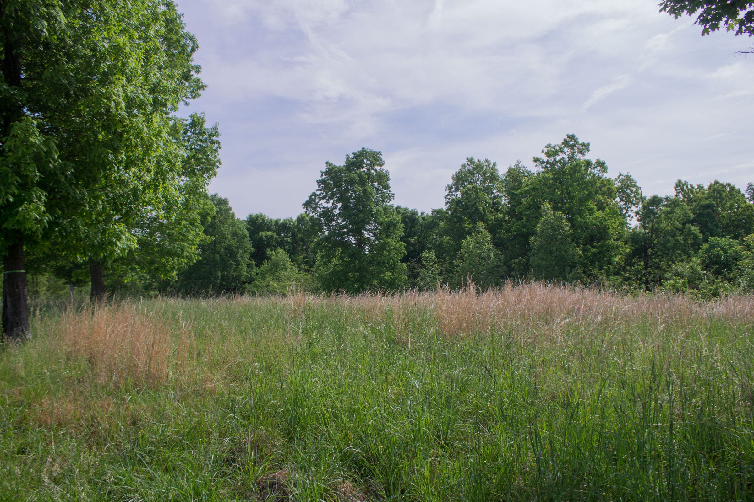 Laurel Ridge Tract 2 photo 9